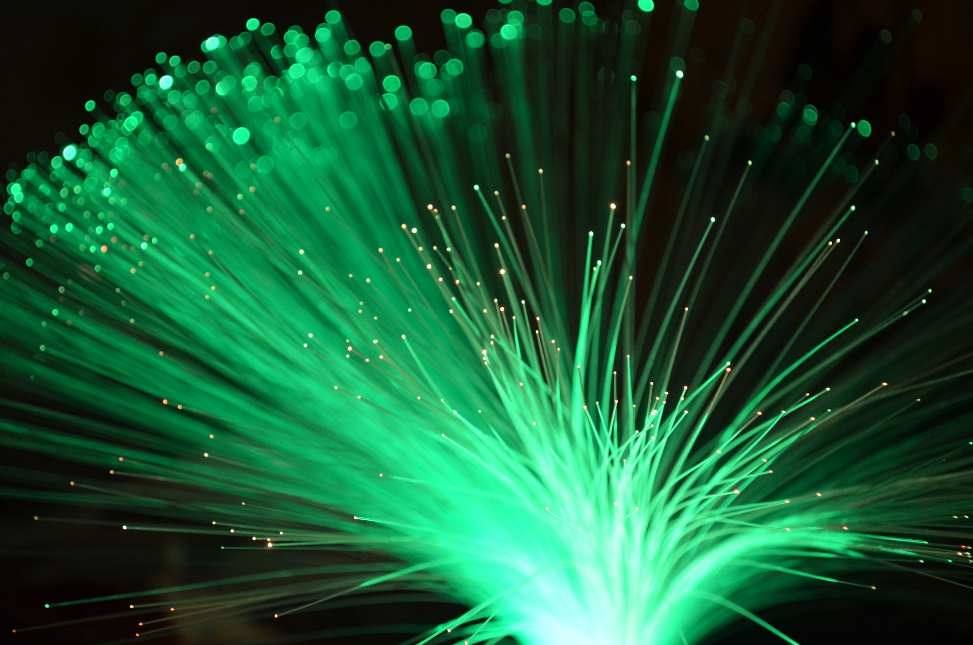 Neon fibers by Normir