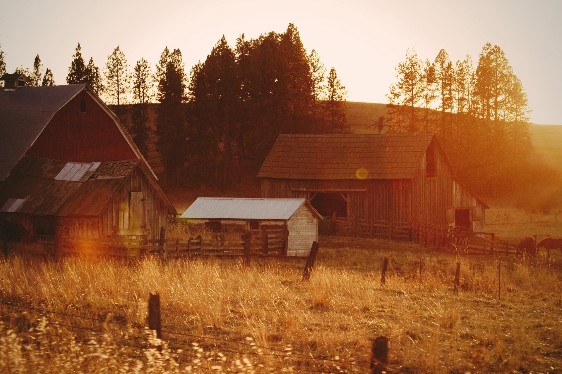  Morning Light Shines Down on a Hidden Farm in Washington, USA by Timothy Eberly