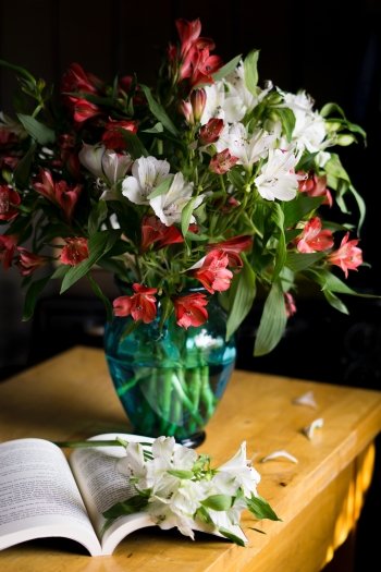Preview Image 309341