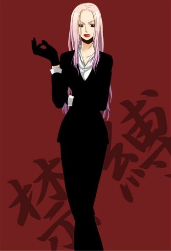 3 Hina (One Piece) Images - Image Abyss