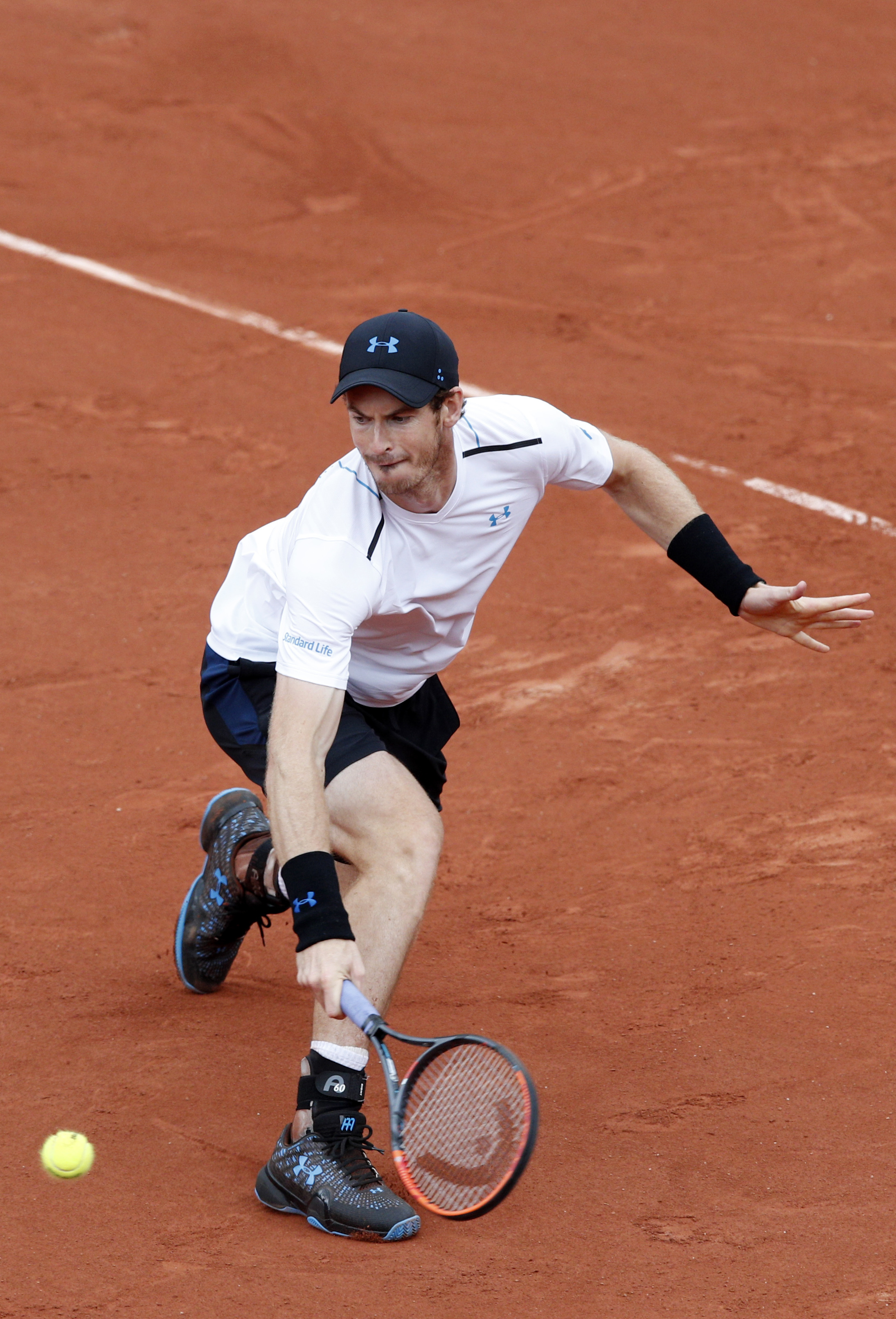 Andy Murray Picture
