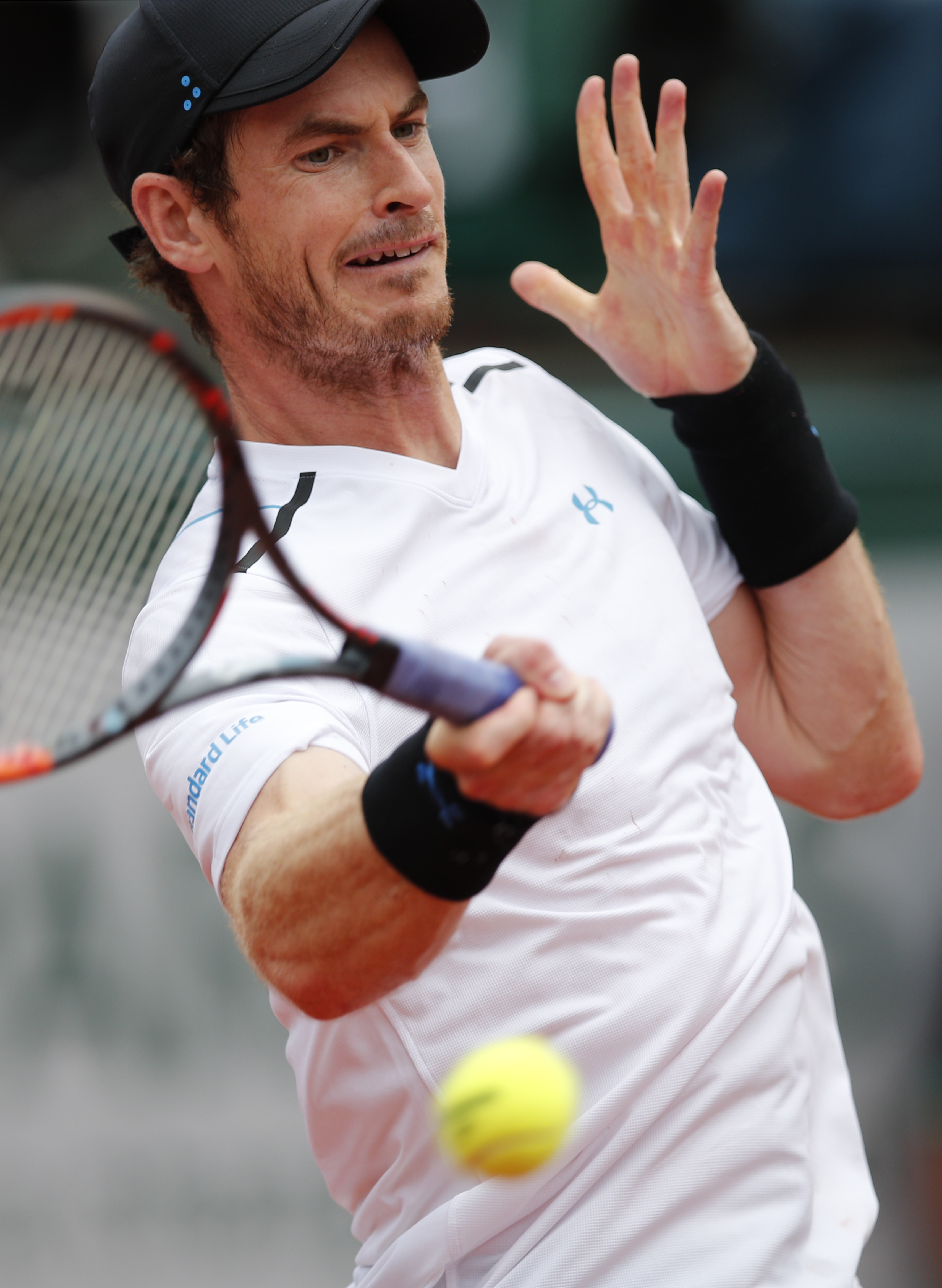 Andy Murray Picture