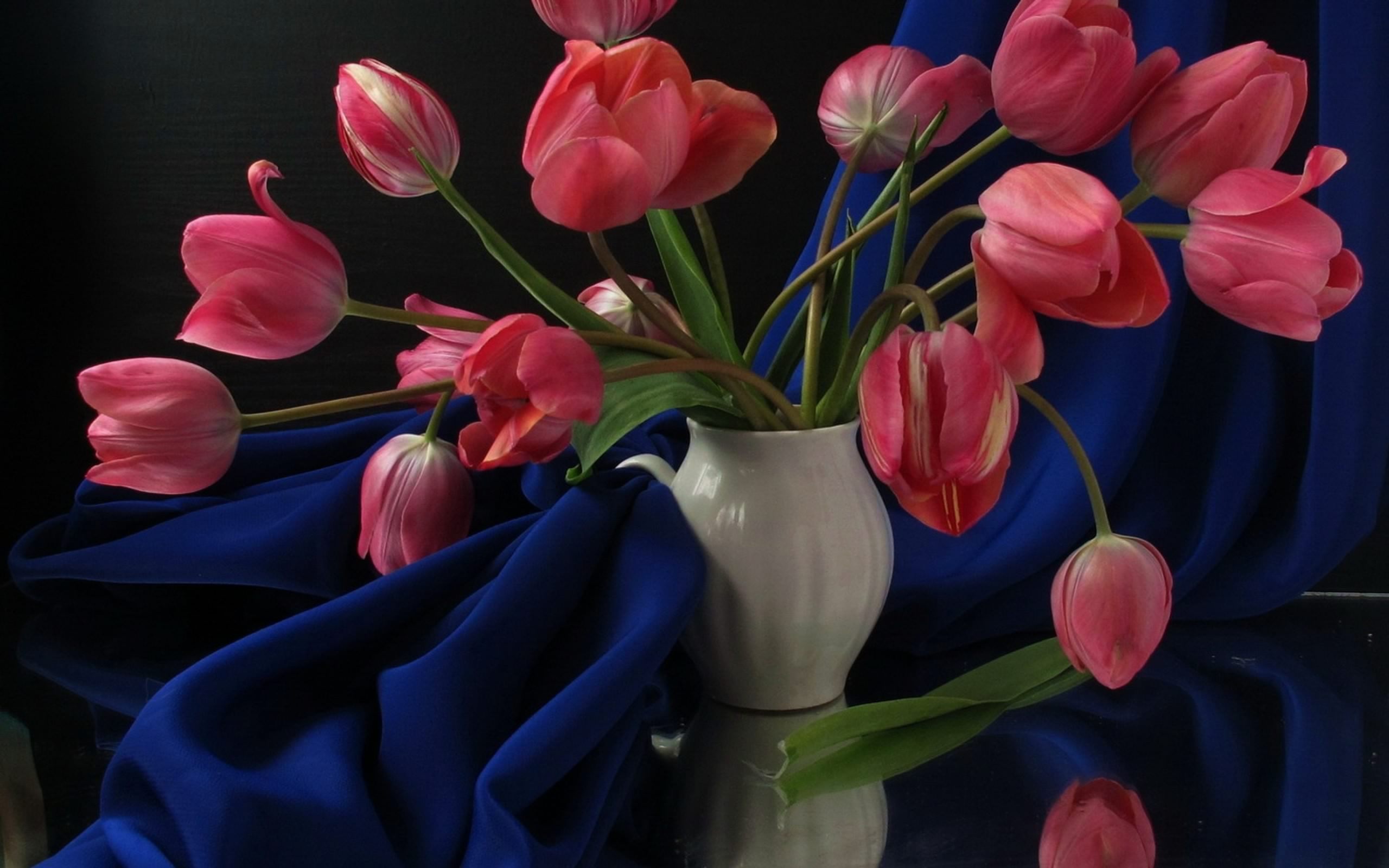 Still Life Picture
