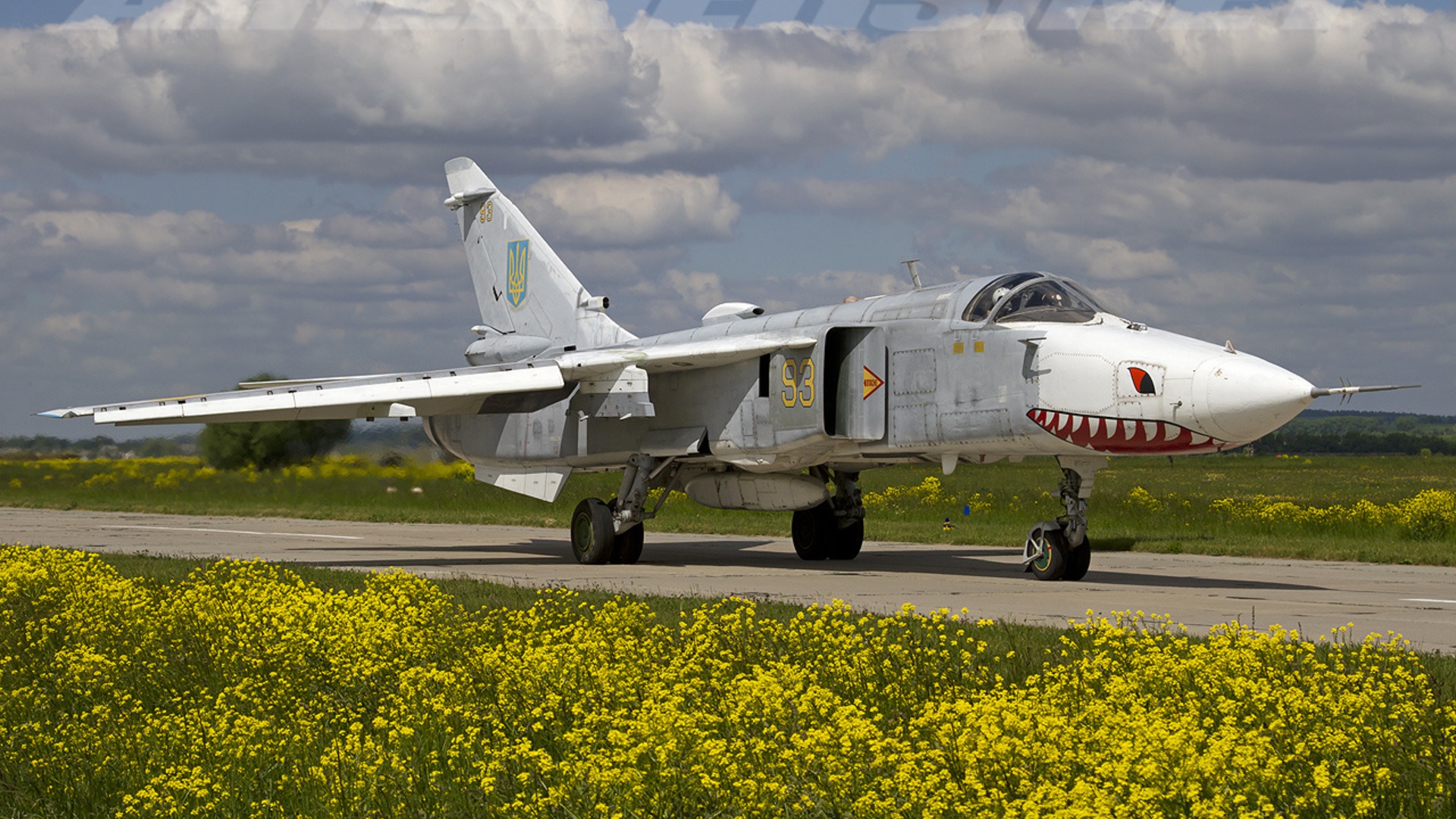 A Ukrainian Air Force Sukhoi Su-24