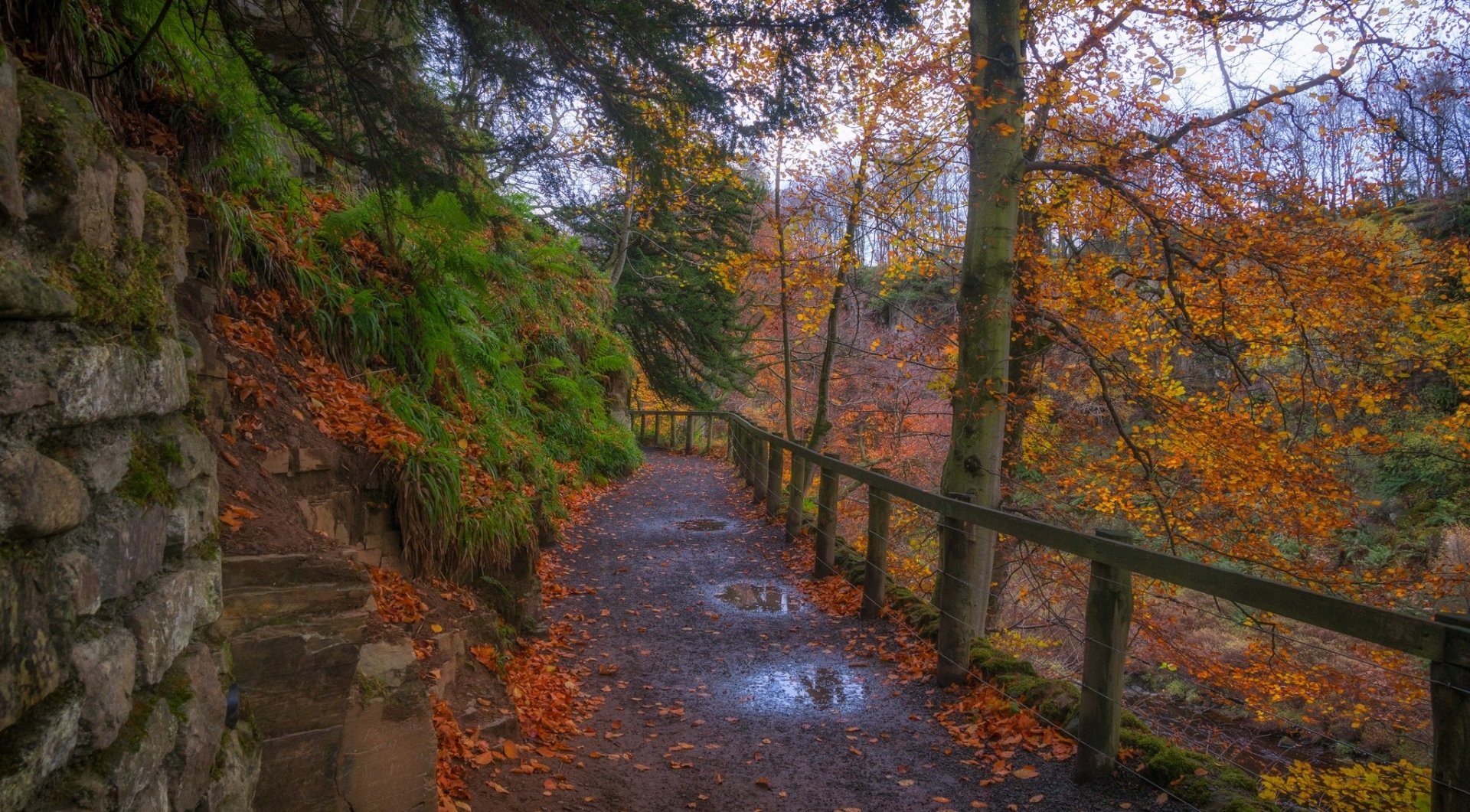 Download Man Made Path Image