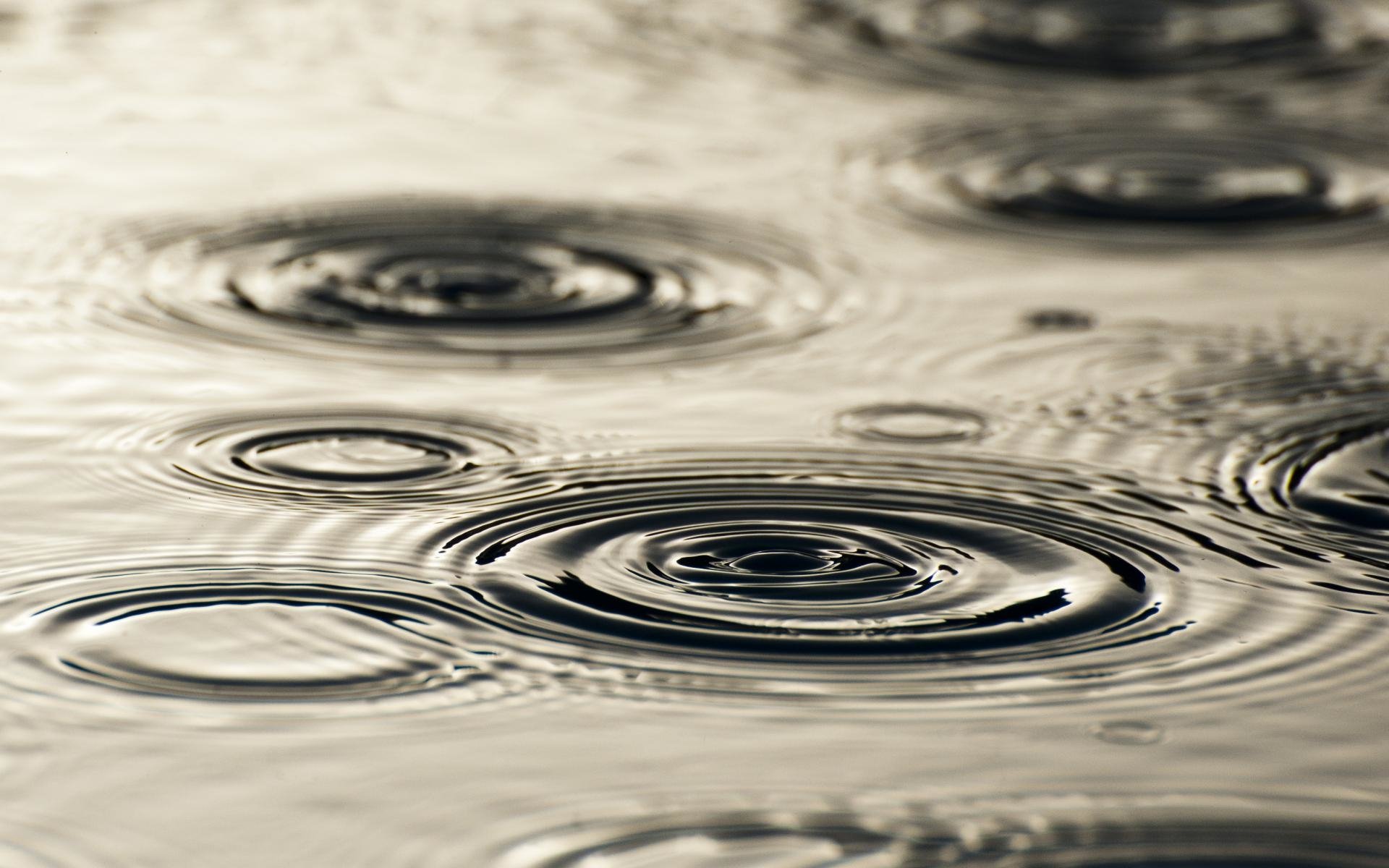 Photography captures the delicate ripples formed by water drops falling onto a calm liquid surface, showcasing intricate patterns and reflections.