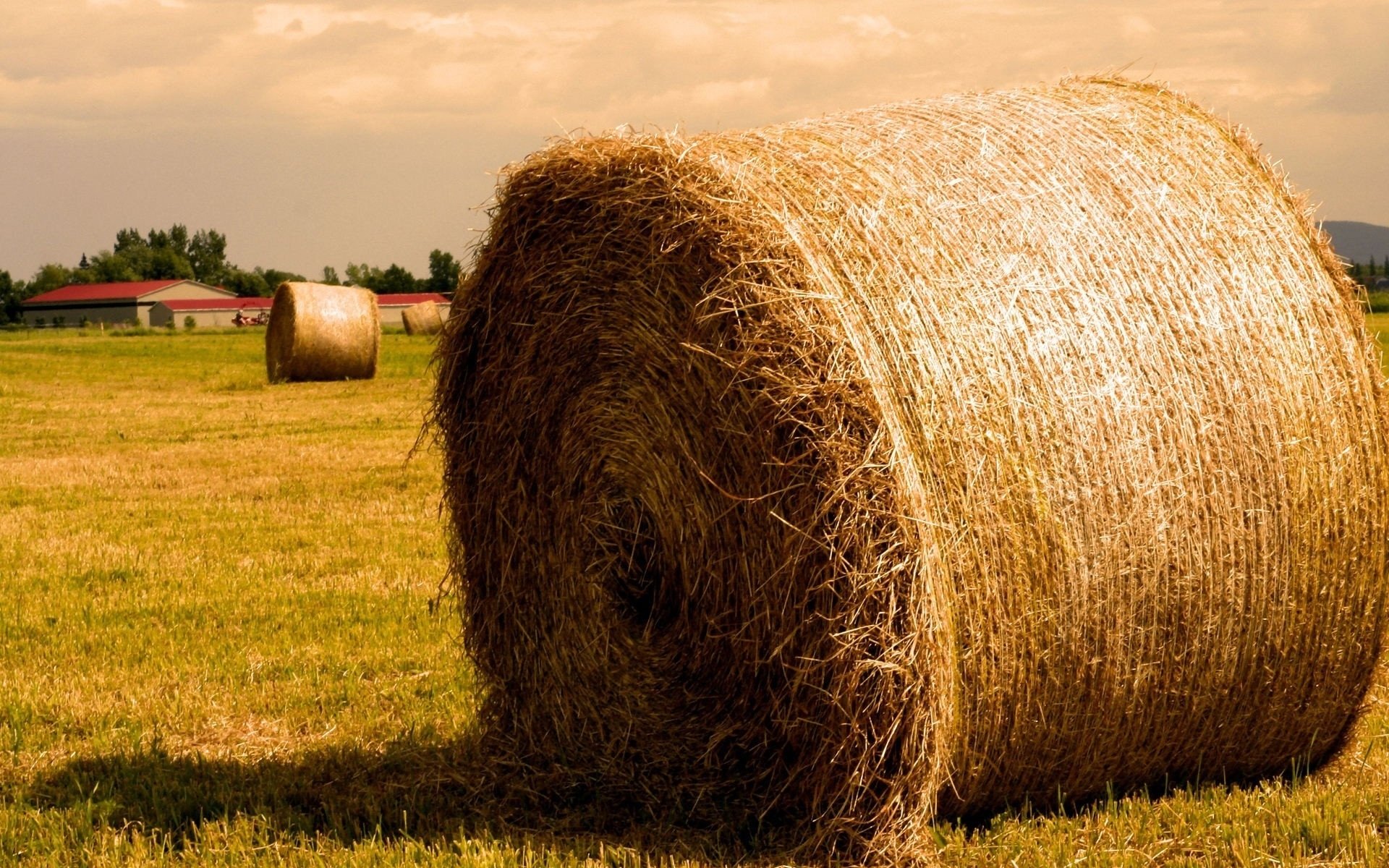 Nature scene: a large round haystack in a sunlit grassy field, another bale and farm buildings on the horizon.