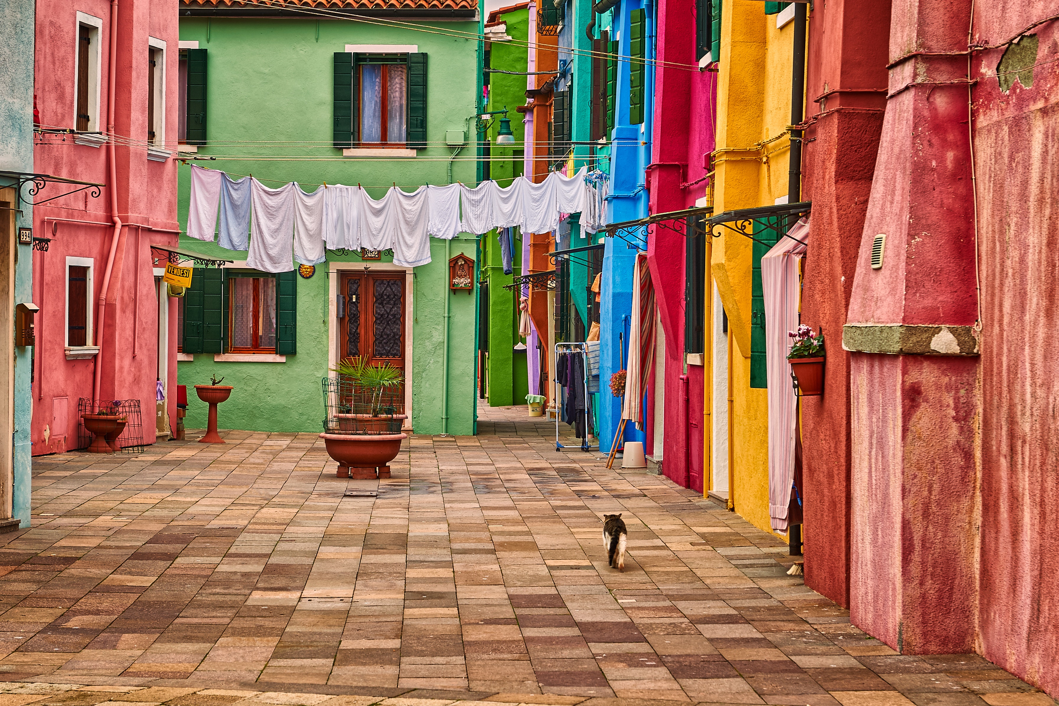 Color street. Разноцветный городок Бурано в Италии. Цветные дома. Разноцветные домики. Улица с цветными домами.