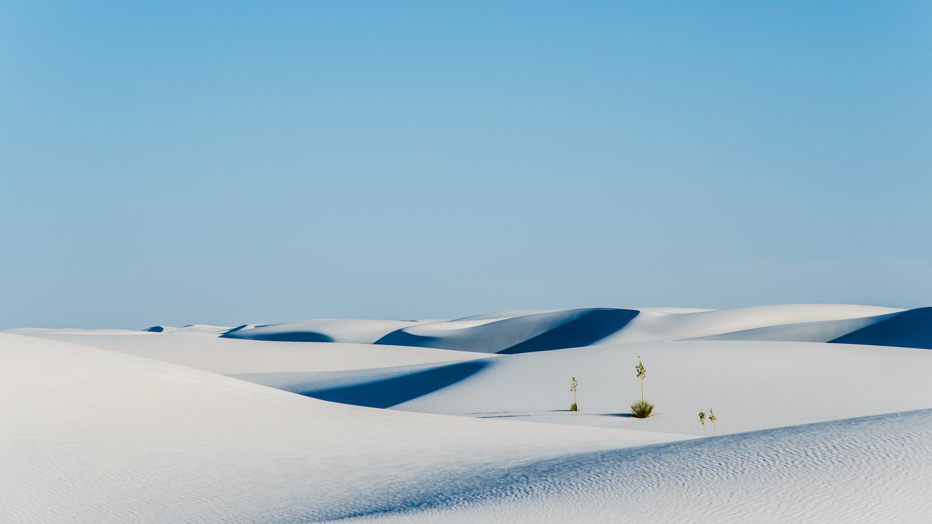 White Sands National Monument desert nature: rolling white sand dunes beneath a clear blue sky with sparse desert plants.