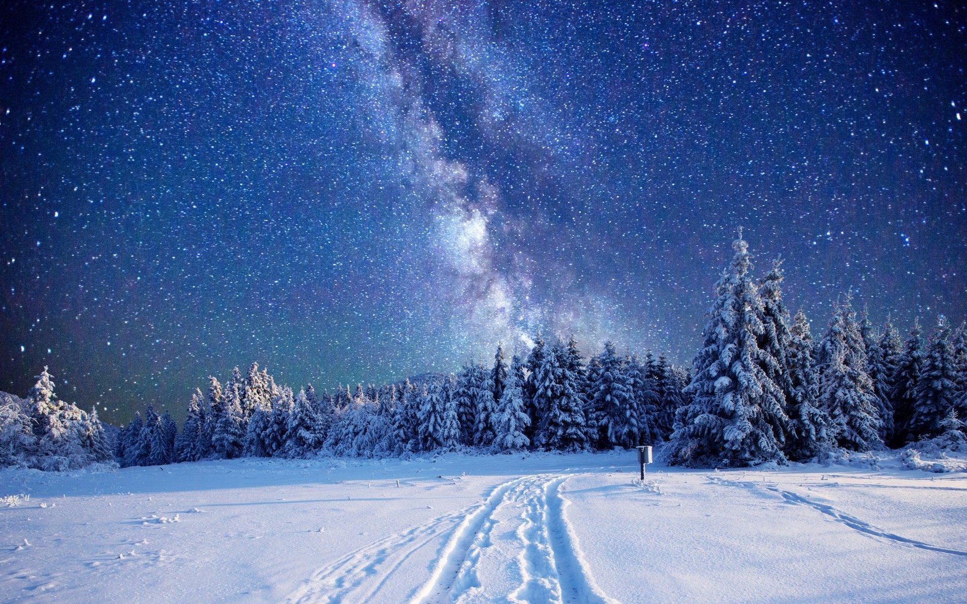 A clear winter night with a starry sky and the Milky Way shining brightly above a snow-covered forest.