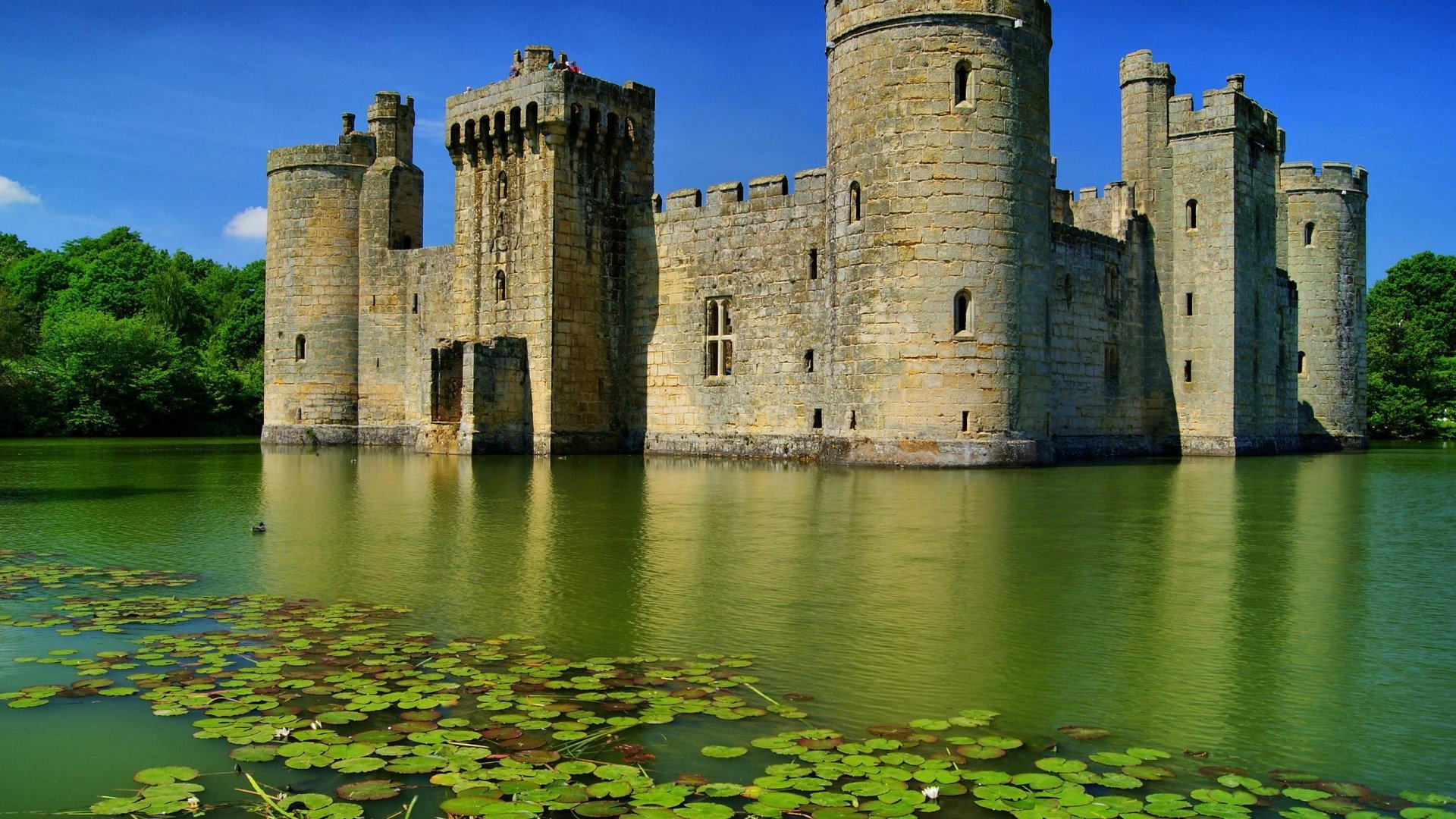 Bodiam Castle, a man-made medieval fortress, stands surrounded by a moat with water lilies under a clear blue sky.