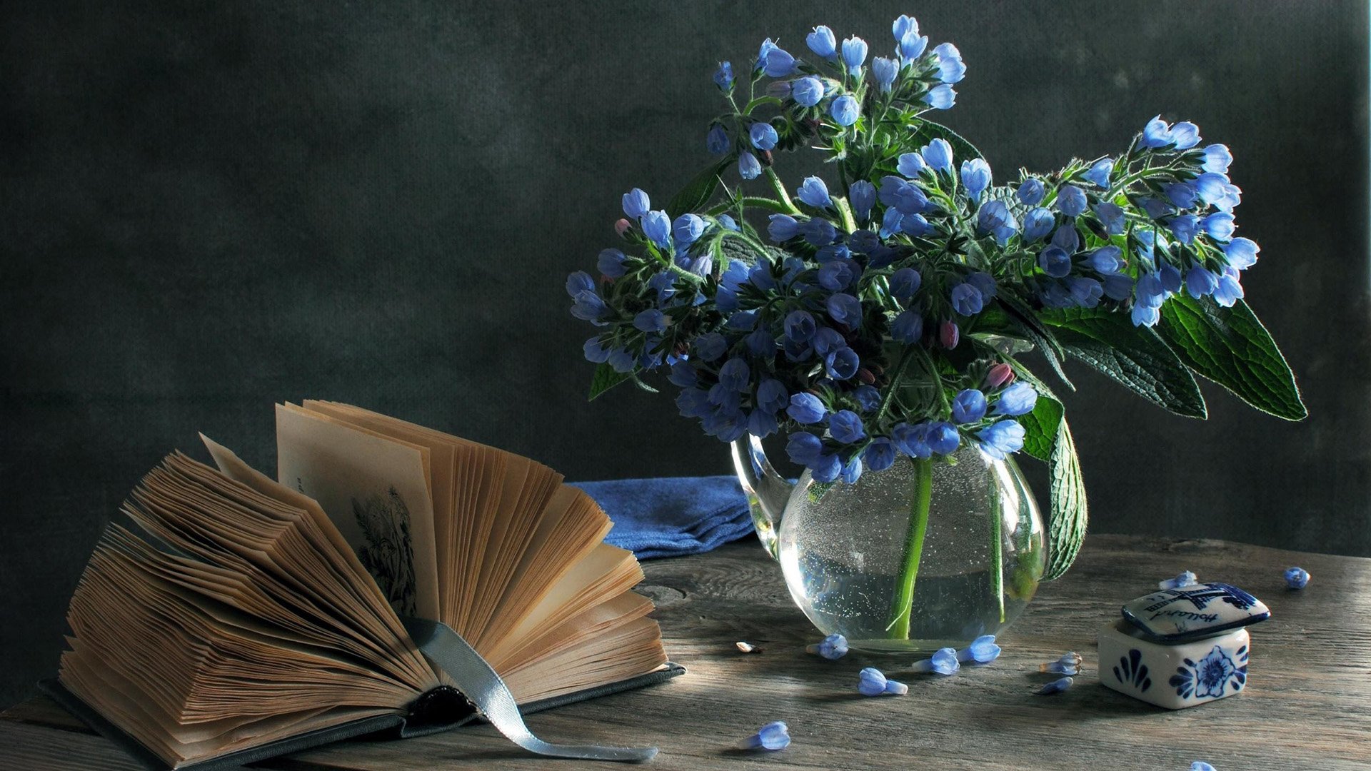 Download Book Blue Flower Flower Vase Photography Still Life Image