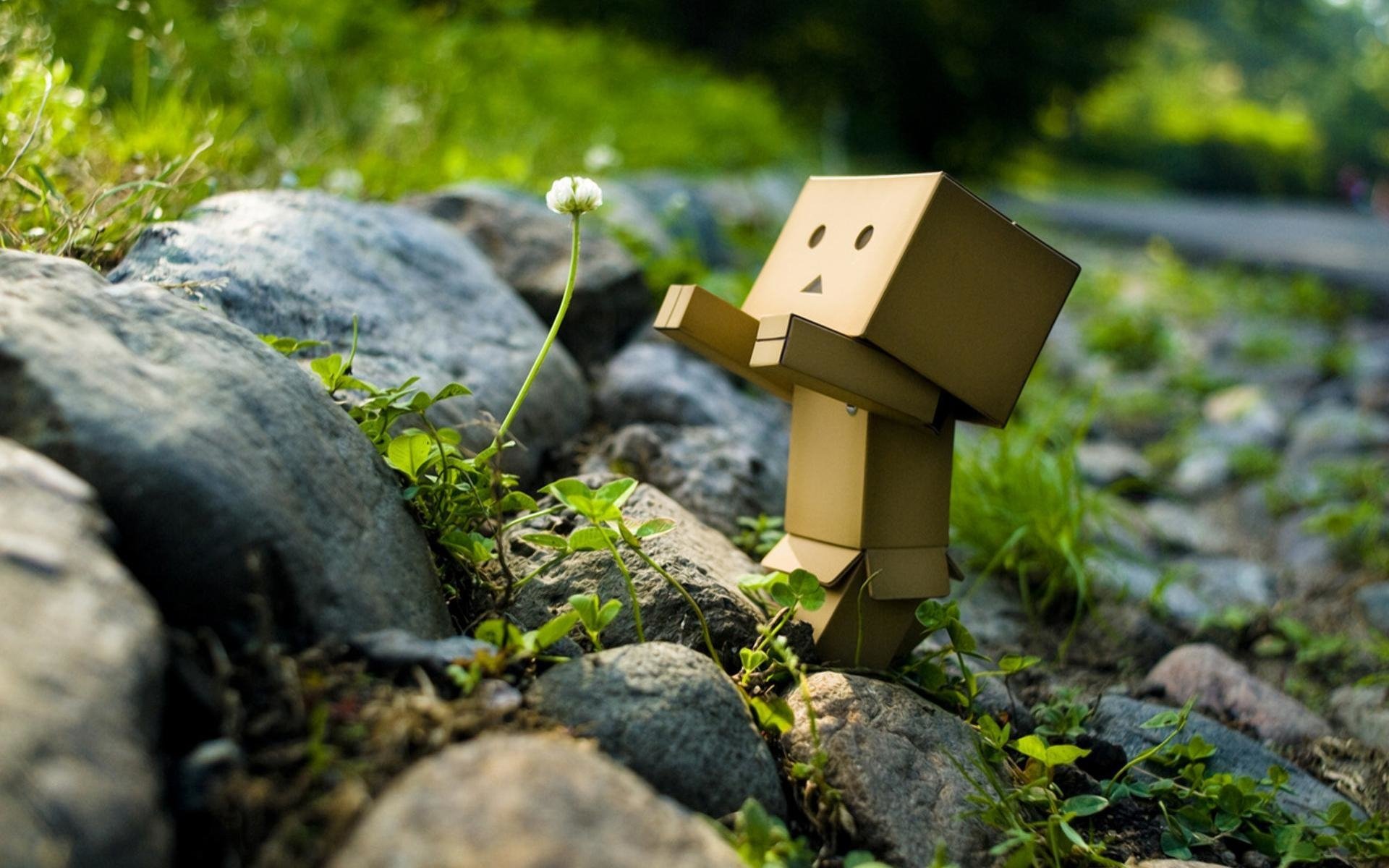  Danbo and a Flower