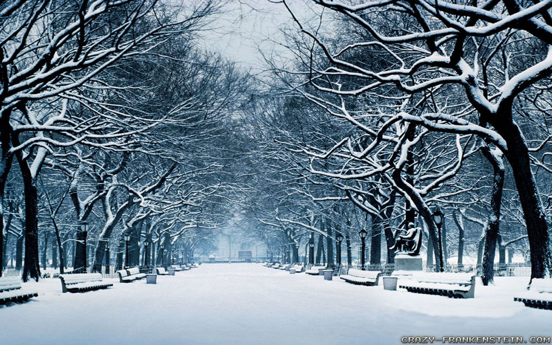 Central Park Winter - Image Abyss