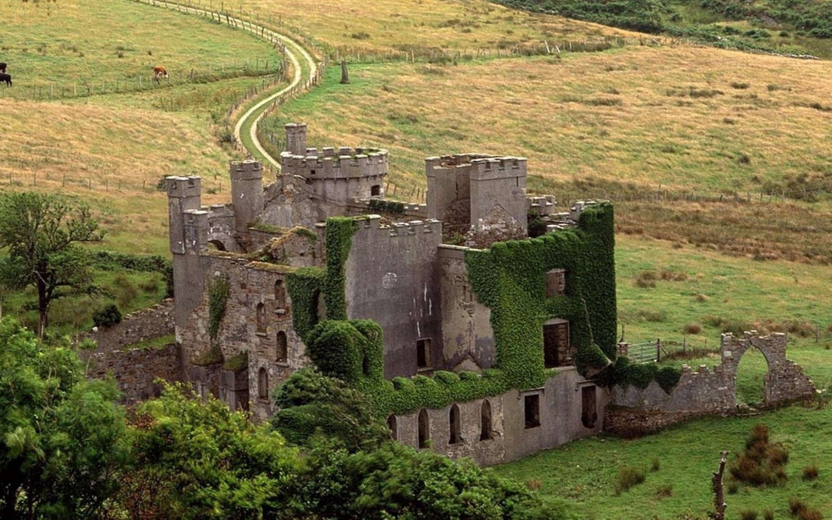 Clifden Castle Picture