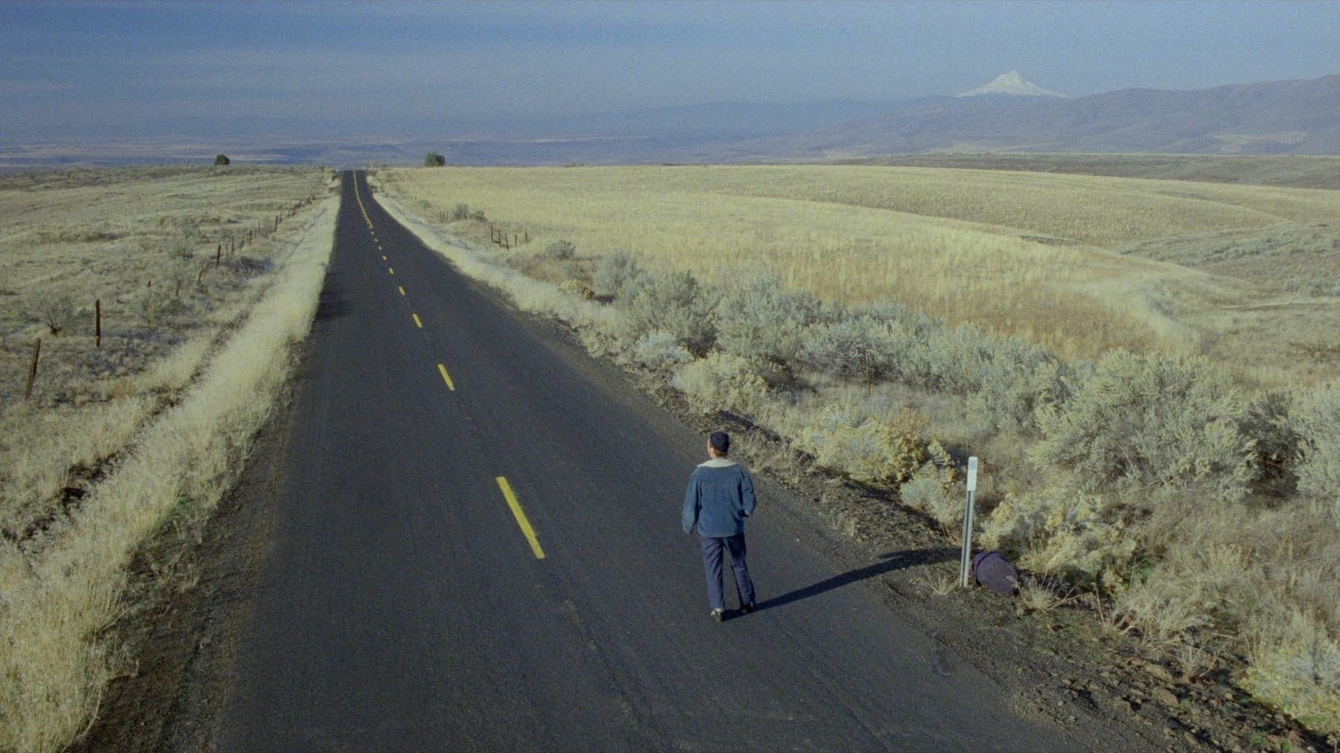 movie My Own Private Idaho Image