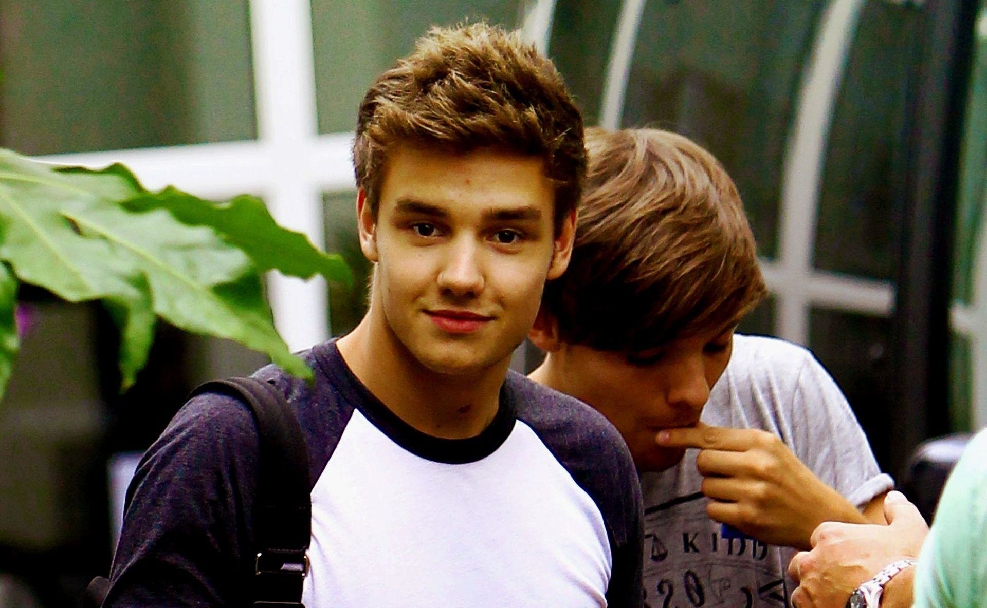 singer Louis Tomlinson music Liam Payne Image