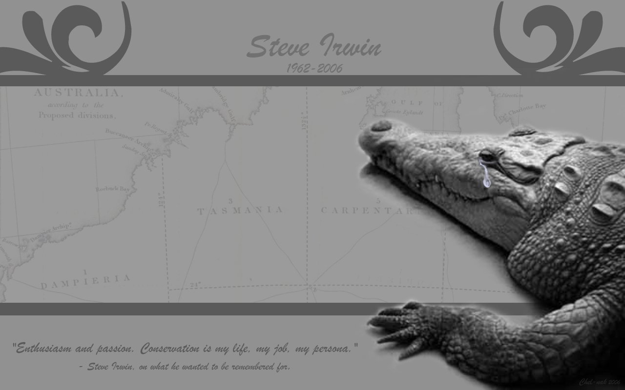 Celebrity Steve Irwin Image