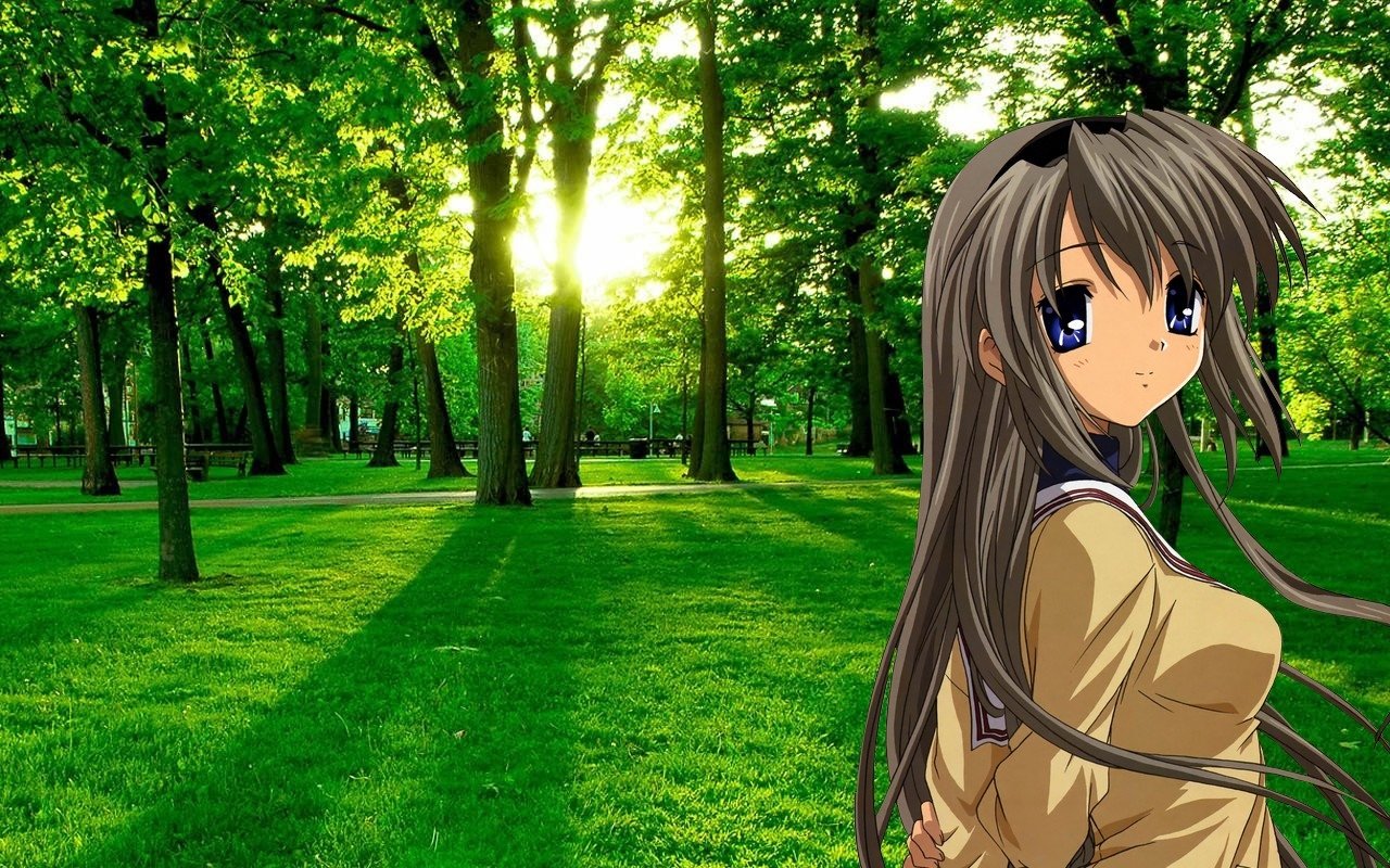 Tomoyo Sakagami Anime Clannad Image