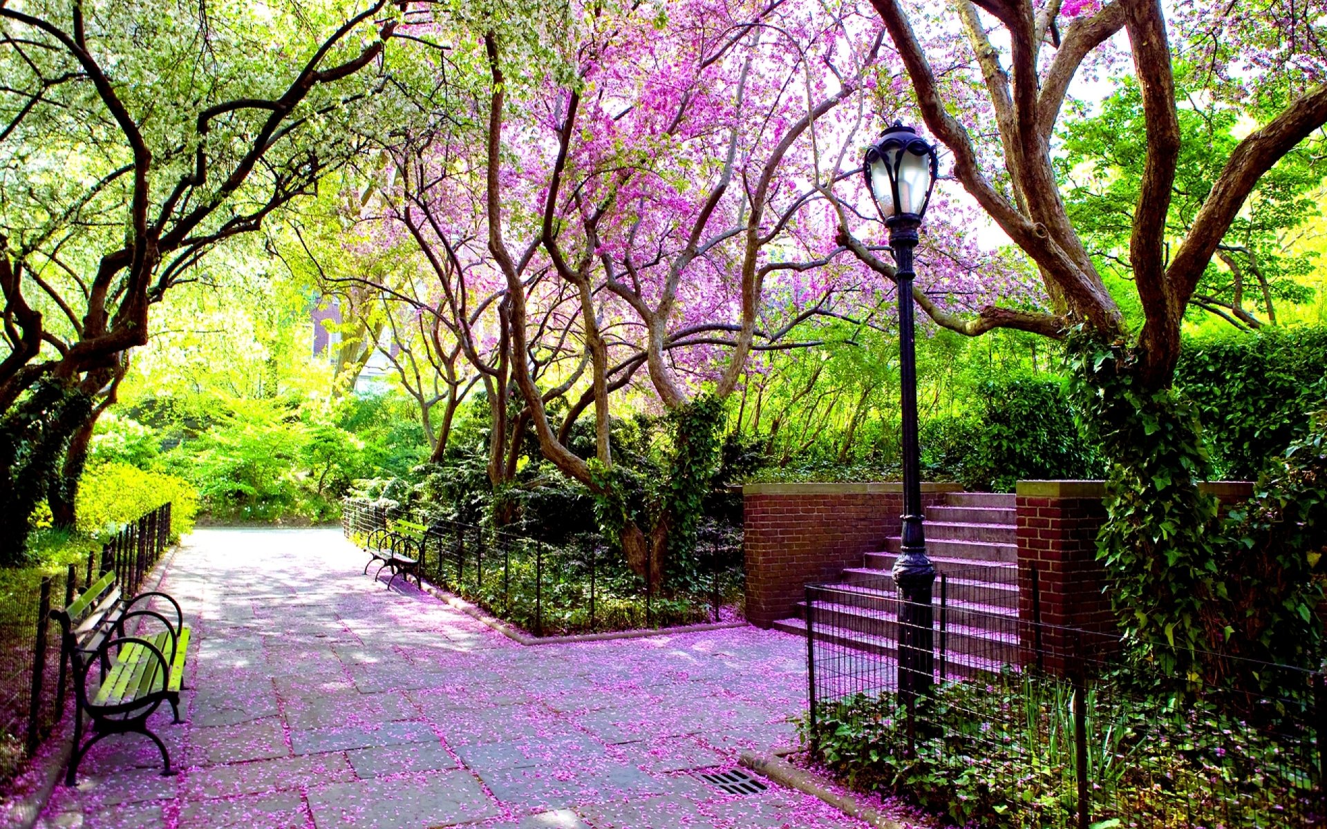 A vibrant park scene featuring lush greenery and flowering trees. A pathway leads to a set of stairs, complemented by a classic lamp post and benches along the way.