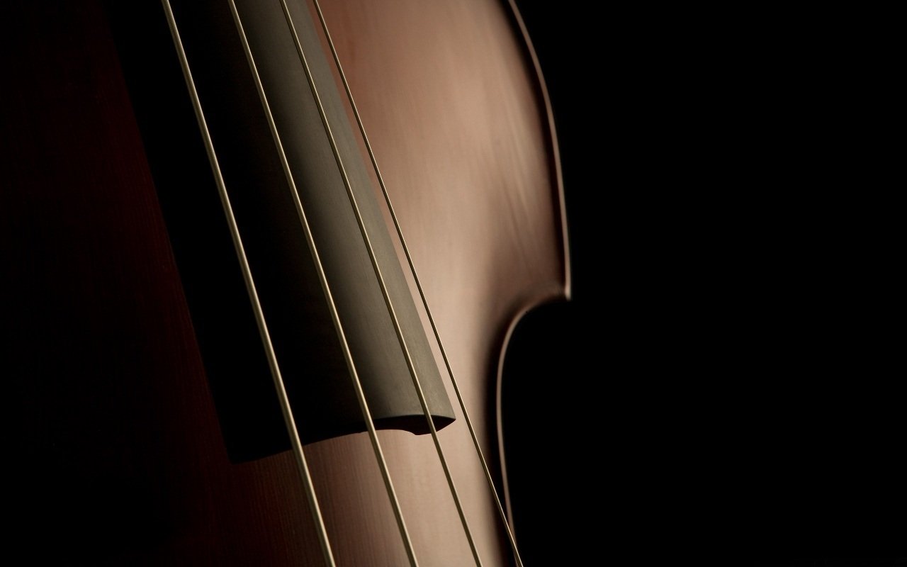 music violin Image