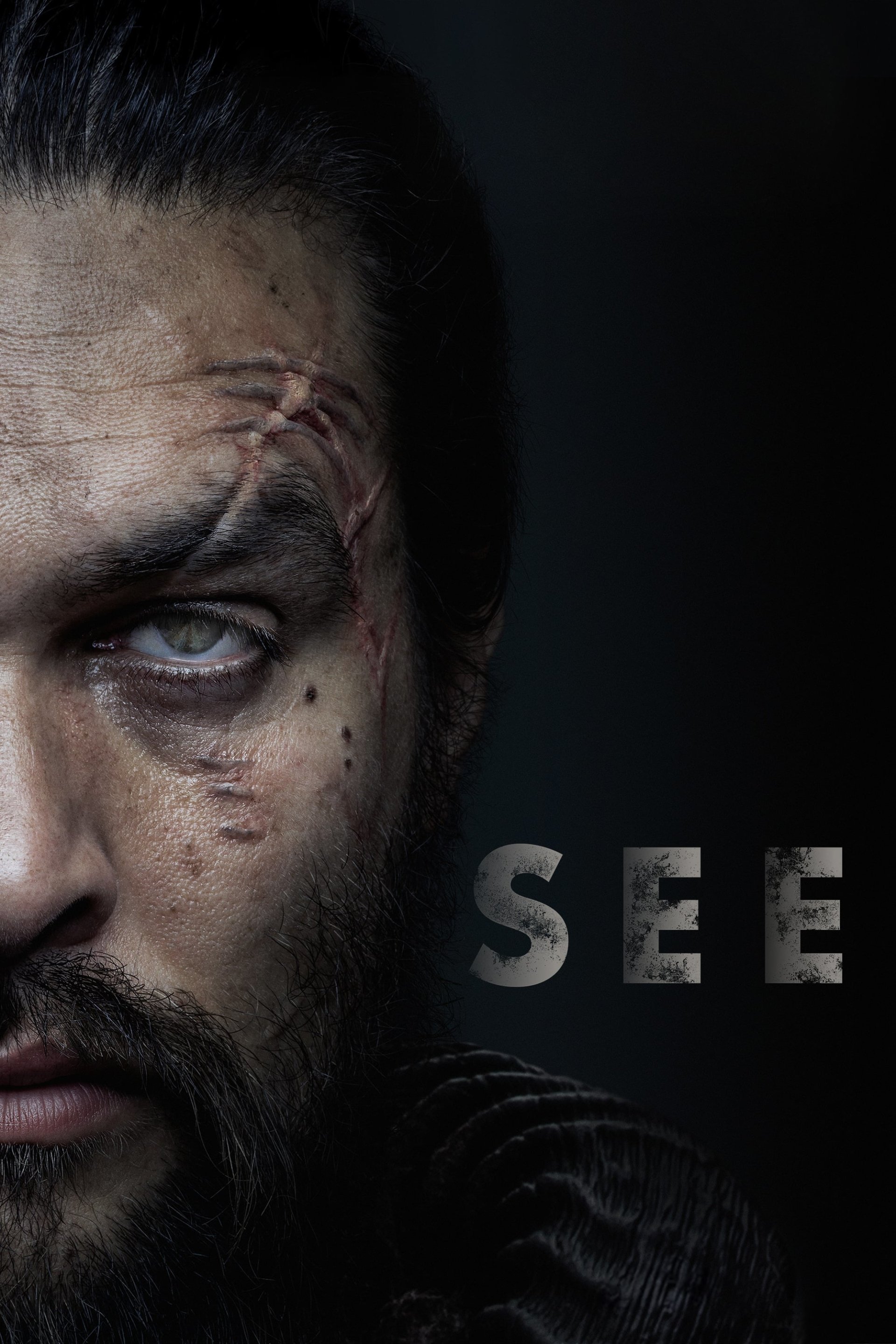 TV Show See Image