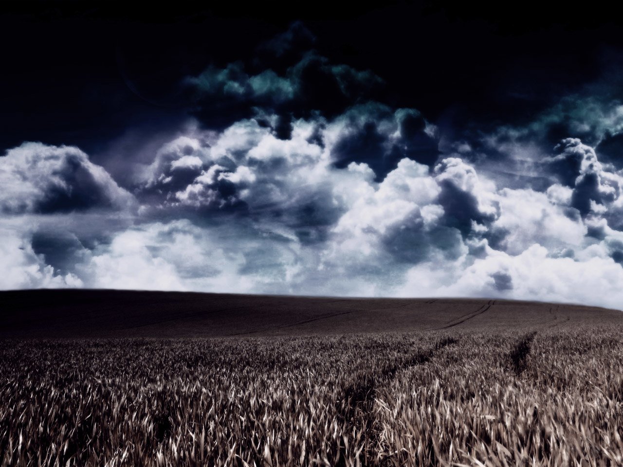 nature field Image