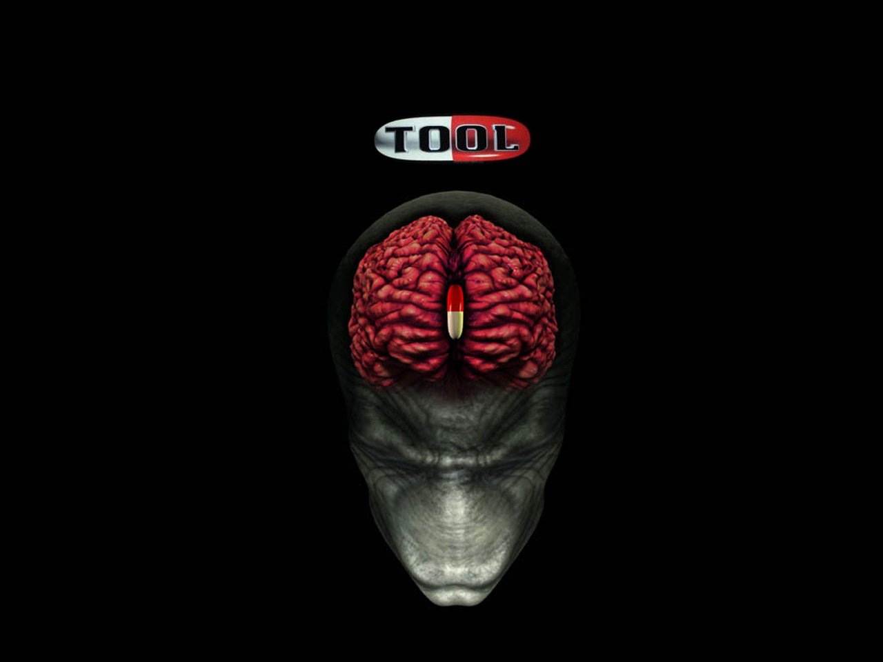 A stylized graphic featuring a brain in a dark space, with the band's name Tool prominently displayed above, capturing the essence of music and creativity.