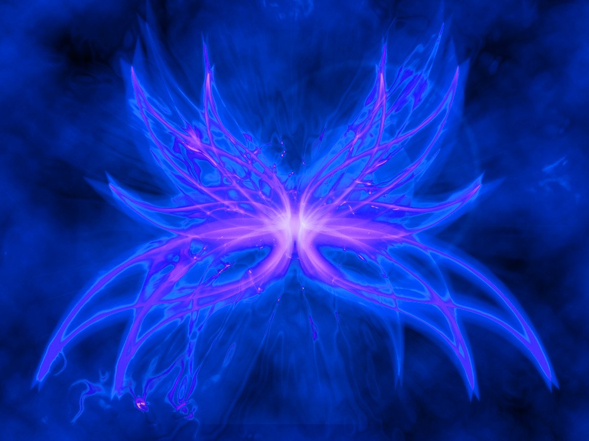 Butterfly - Desktop Wallpapers, Phone Wallpaper, PFP, Gifs, and More!