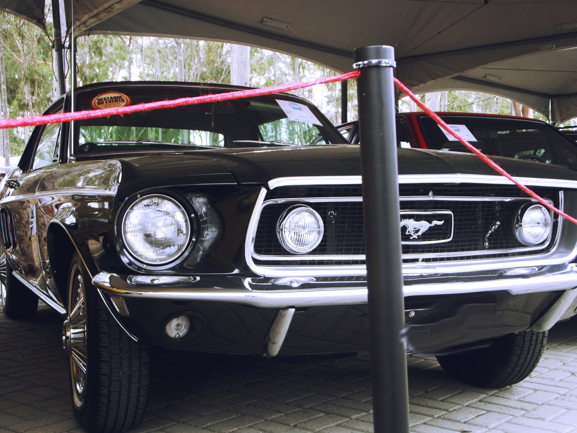  A mustang in a vintage car exhibition