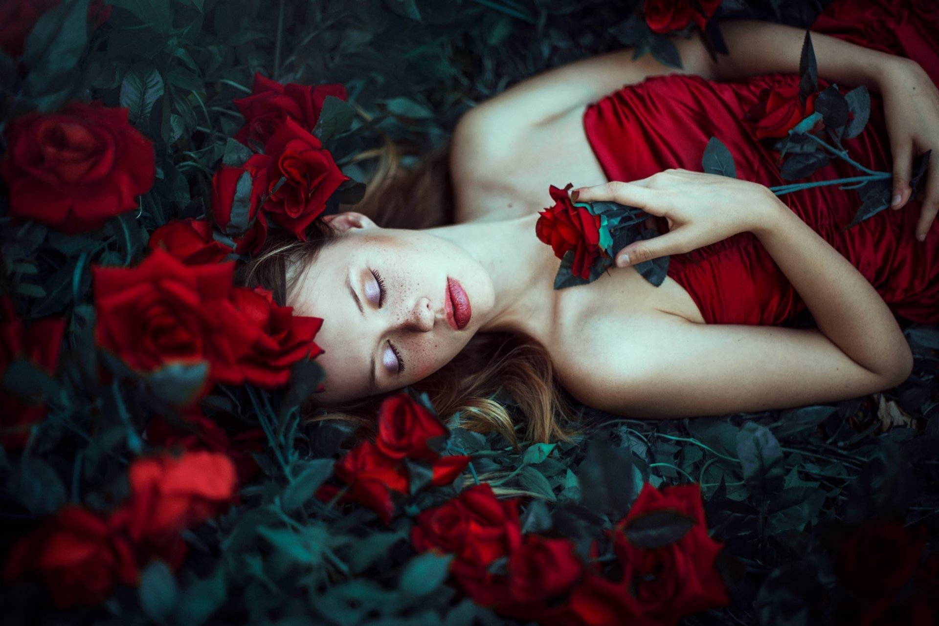 Download Rose Woman Mood Image