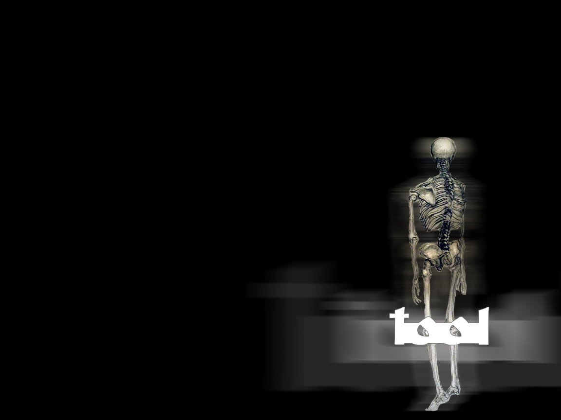A skeletal figure stands against a dark background, with the word Tool prominently displayed, reflecting the band's distinctive music style and artistic imagery.