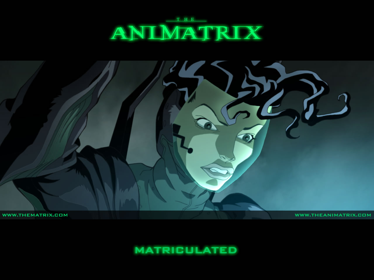 The Animatrix Picture