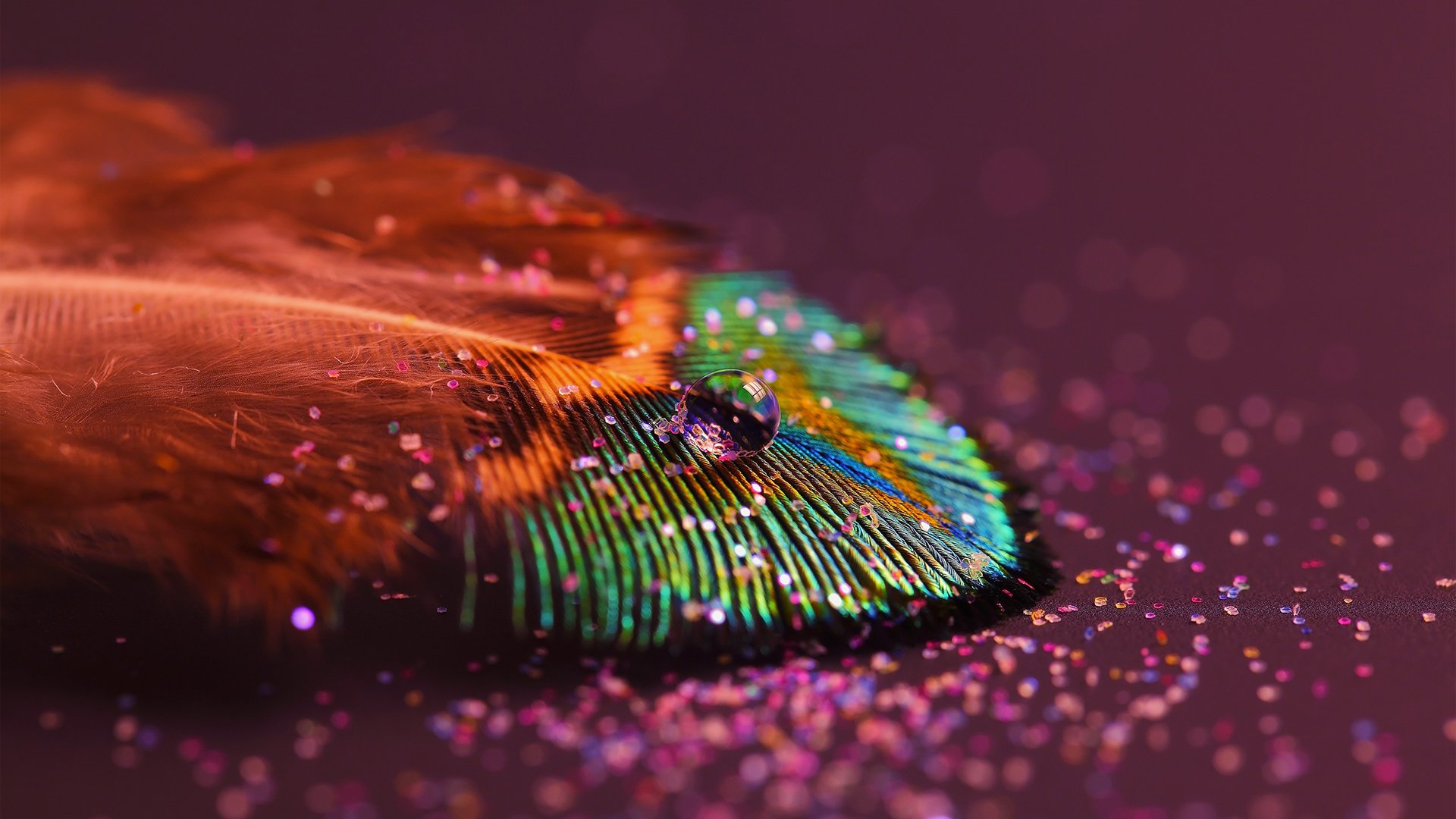 A vibrant peacock feather adorned with a water drop and surrounded by sparkling glitter on a dark surface.
