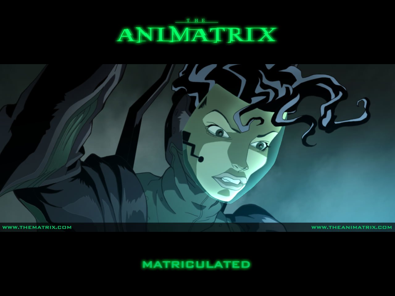 Animatrix. Аниматрица. Animatrix the Matrix. Сис Аниматрица.