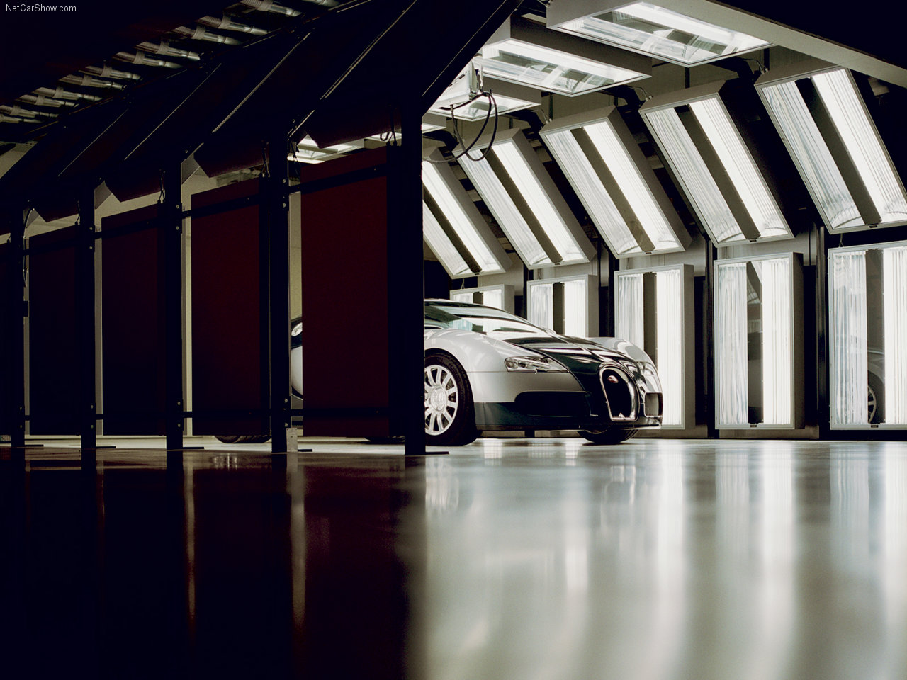 Bugatti Veyron Picture