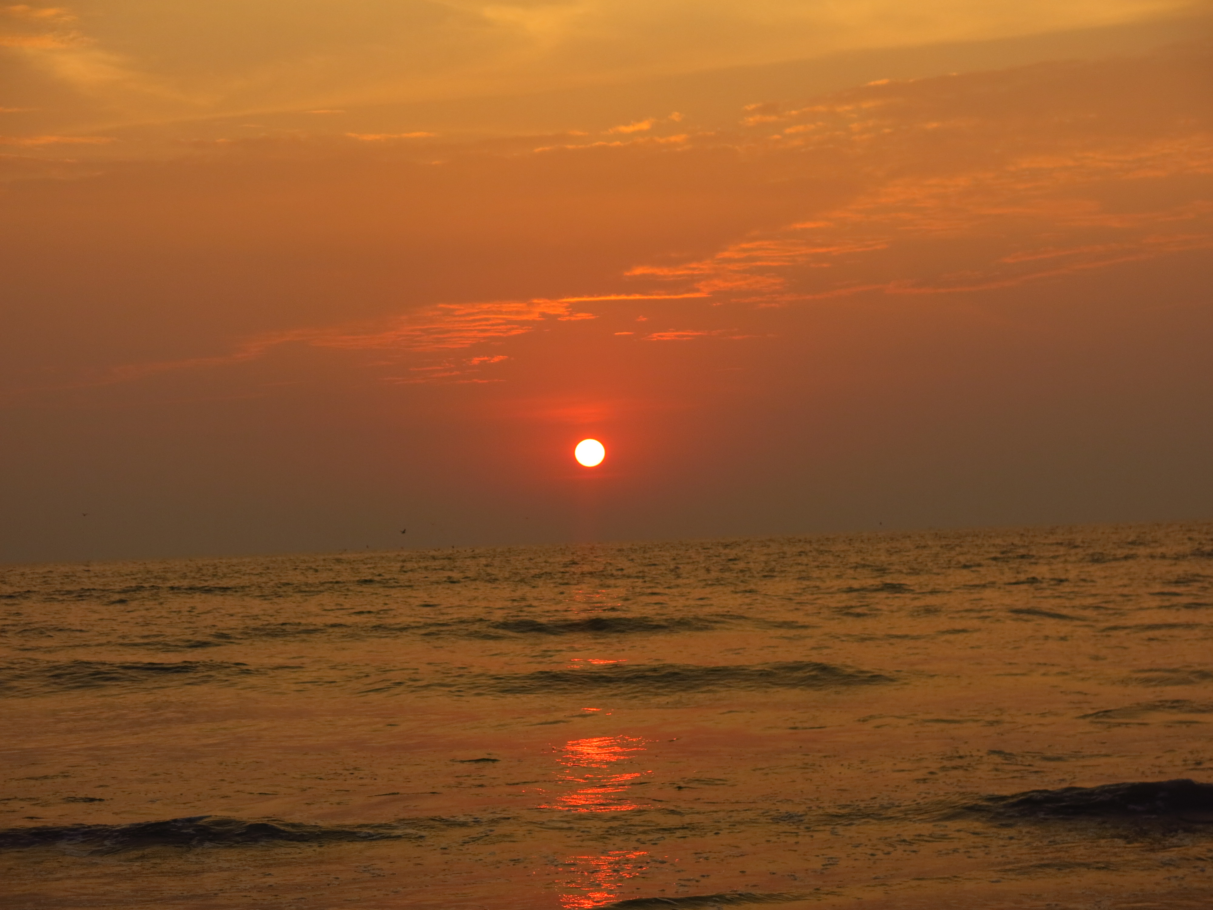 A beach in Mandrem / Goa / India by NatureWorshiper - Image Abyss