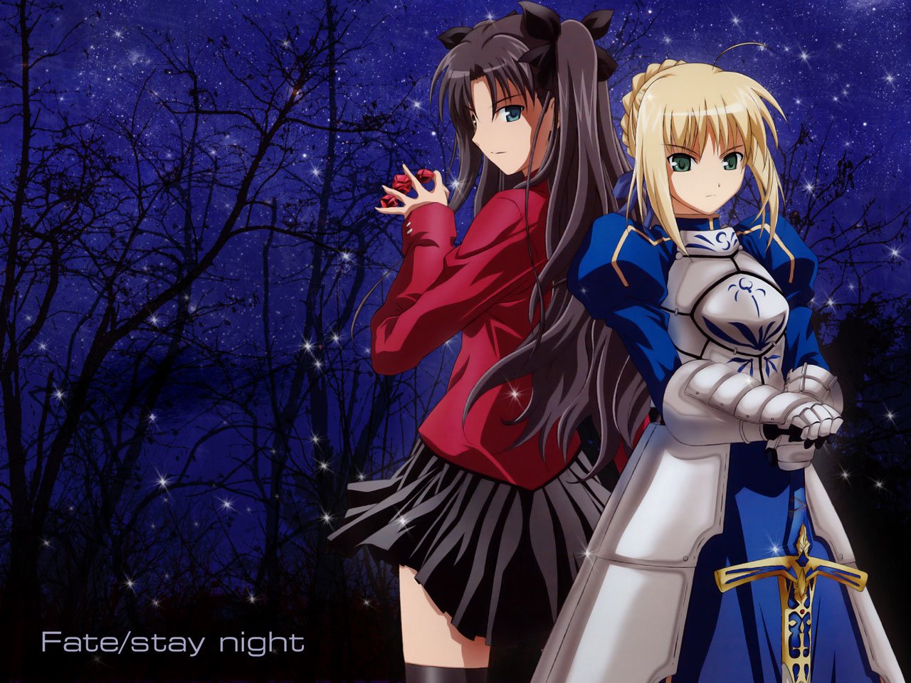 Rin Tohsaka and Saber, iconic characters from the Fate/Stay Night anime series, stand back-to-back against a starry night backdrop, embodying strength and determination.