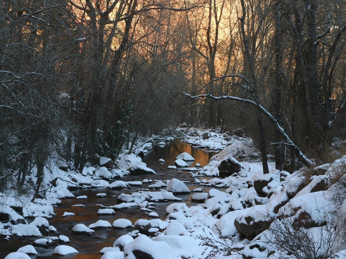 A tranquil winter scene in nature, showcasing a snow-covered riverbank lined with trees, as soft light filters through the branches, illuminating the snowy landscape.