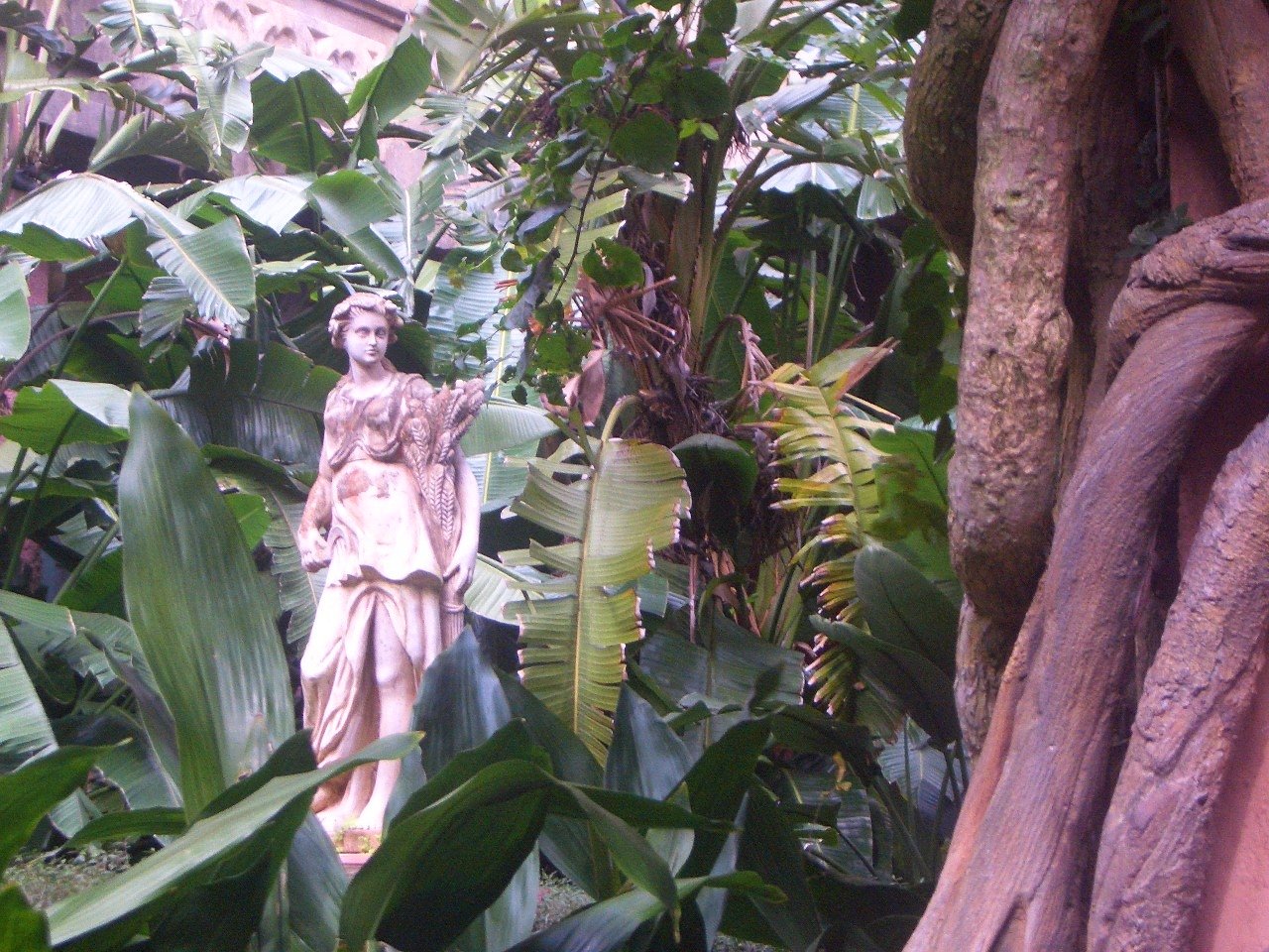A man-made statue of a woman stands amidst lush green tropical foliage and large tree roots.