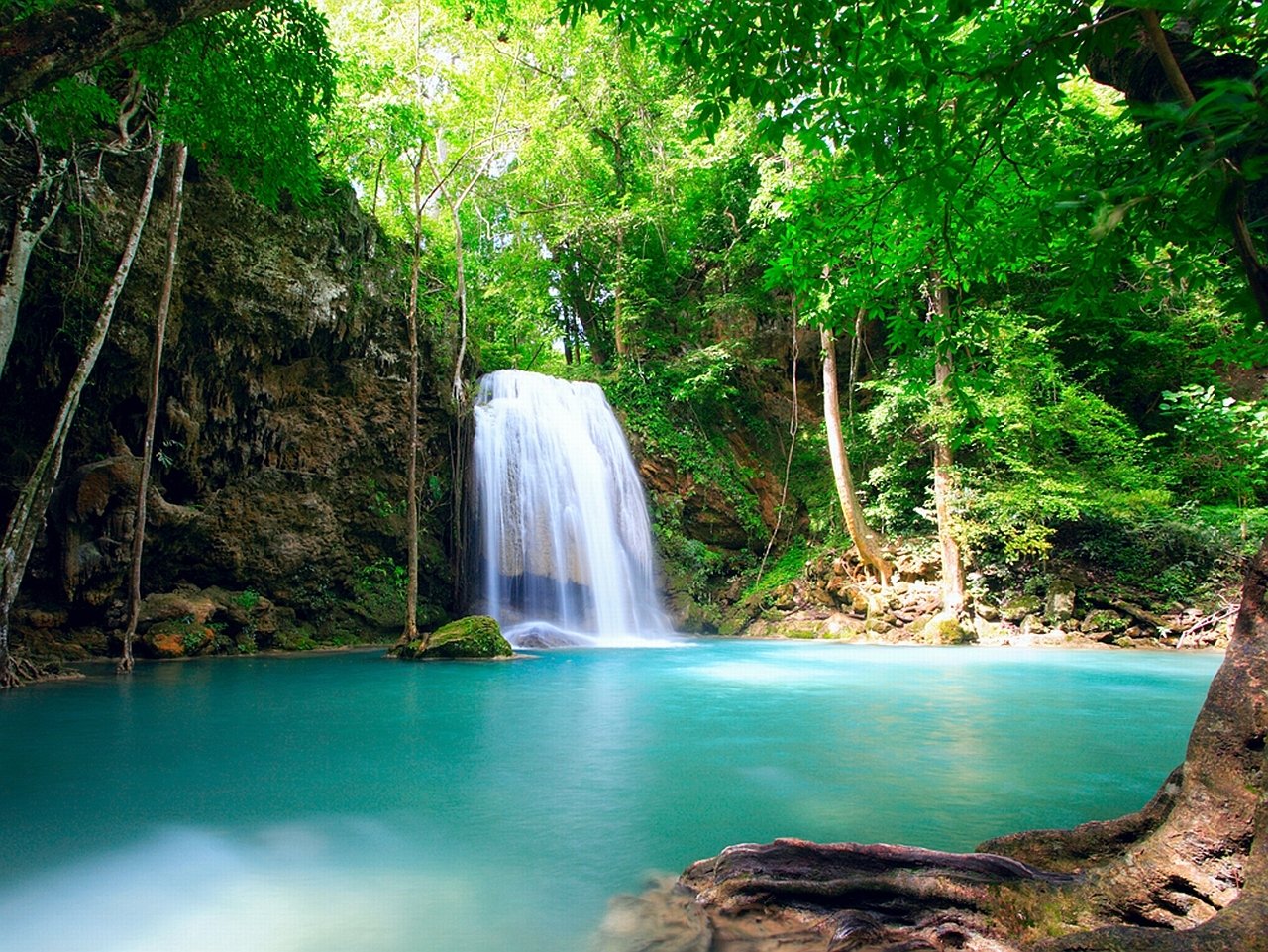 A serene nature scene featuring a waterfall cascading into a clear, turquoise pool surrounded by lush green trees.