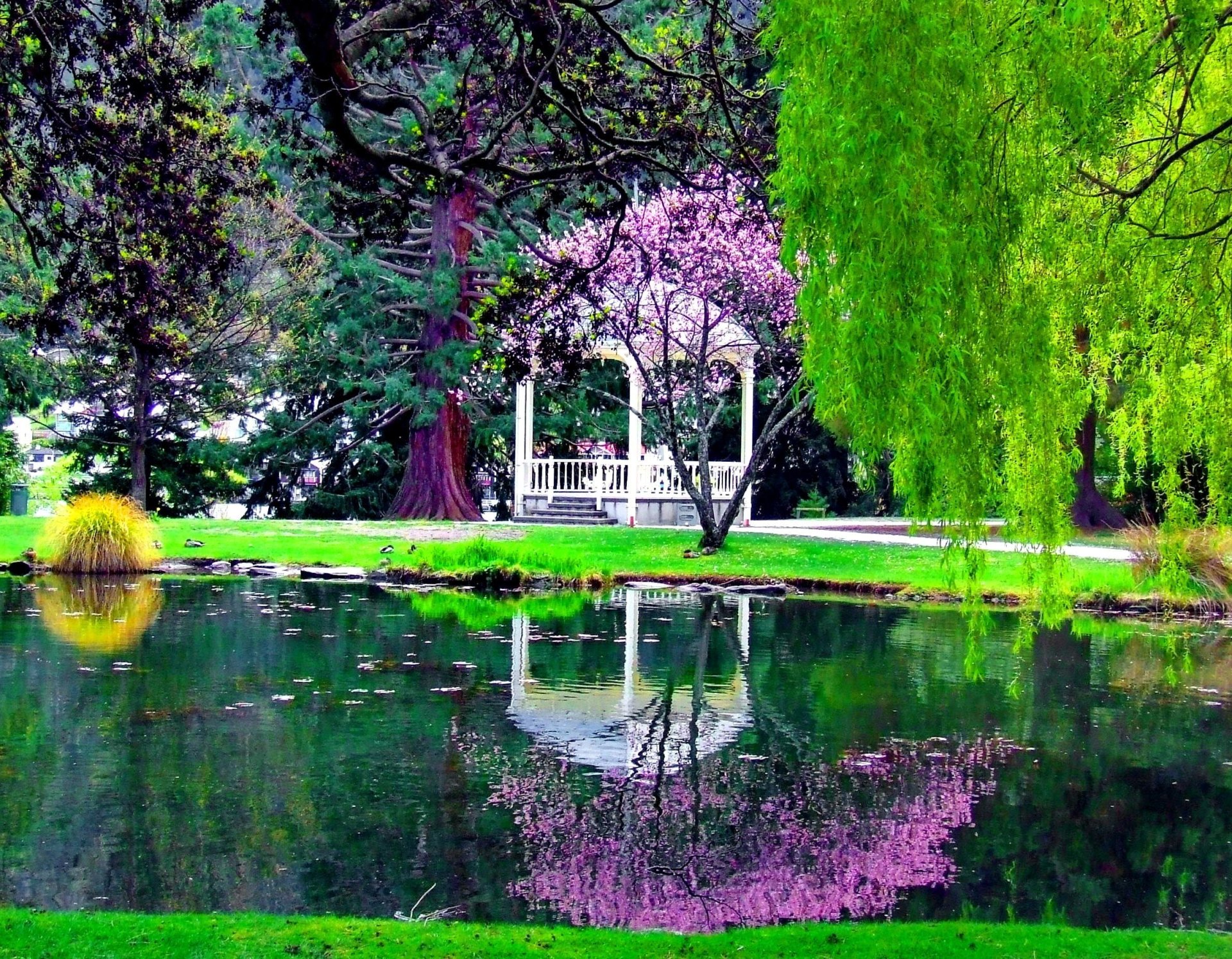 Download Pond Reflection Tree Blossom Park Spring Man Made Gazebo Image