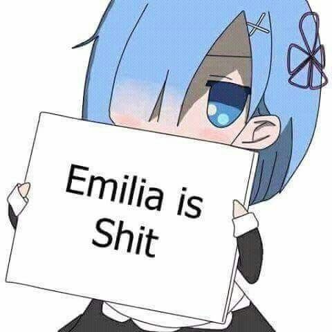 Anime character Rem from Re:Zero holds a sign with a critical message about Emilia, referencing the series Re:Zero - Starting Life in Another World.