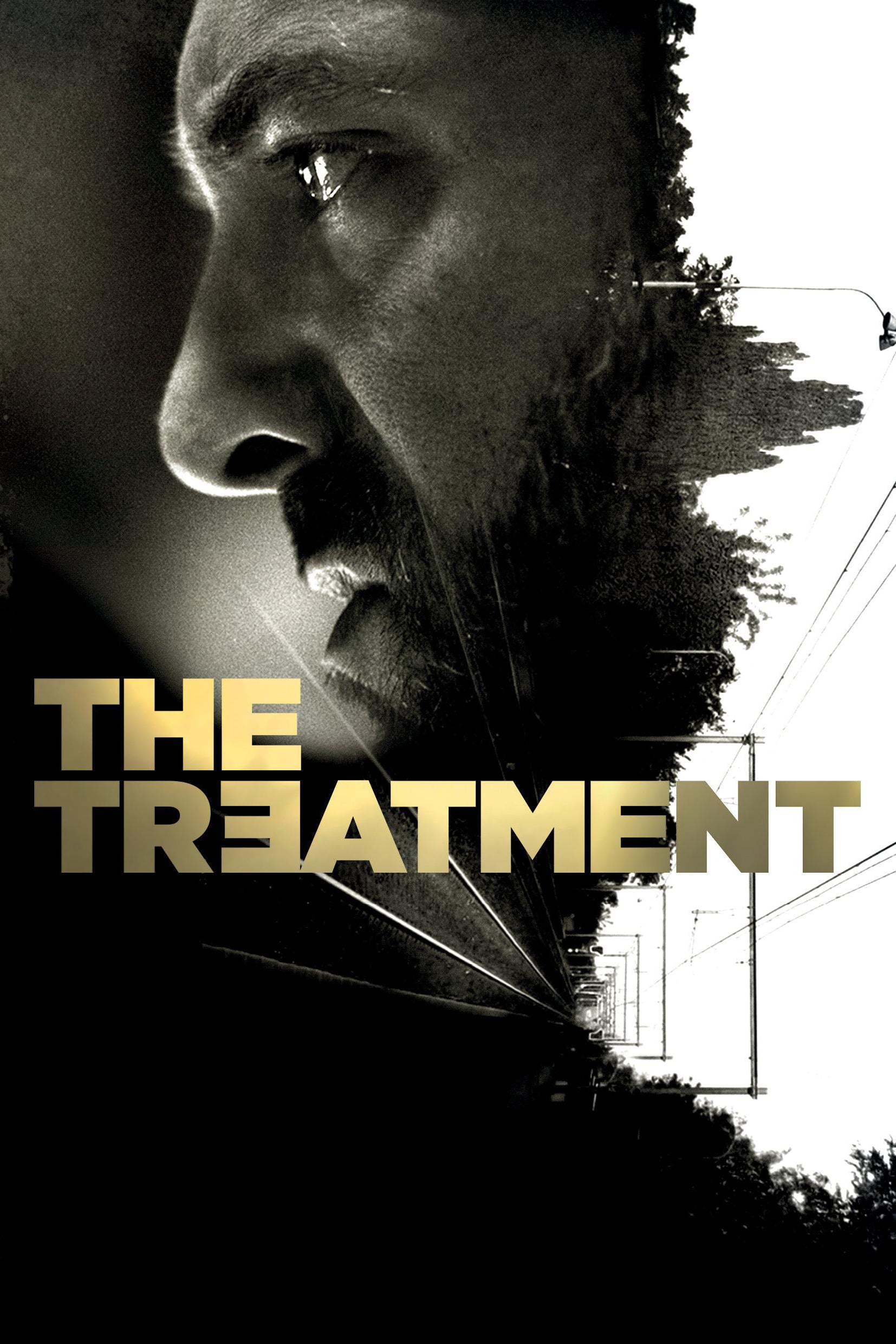 The Treatment Picture