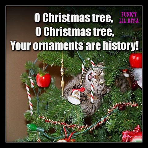 O Christmas Tree, O Christmas Tree, Your Ornaments are History !