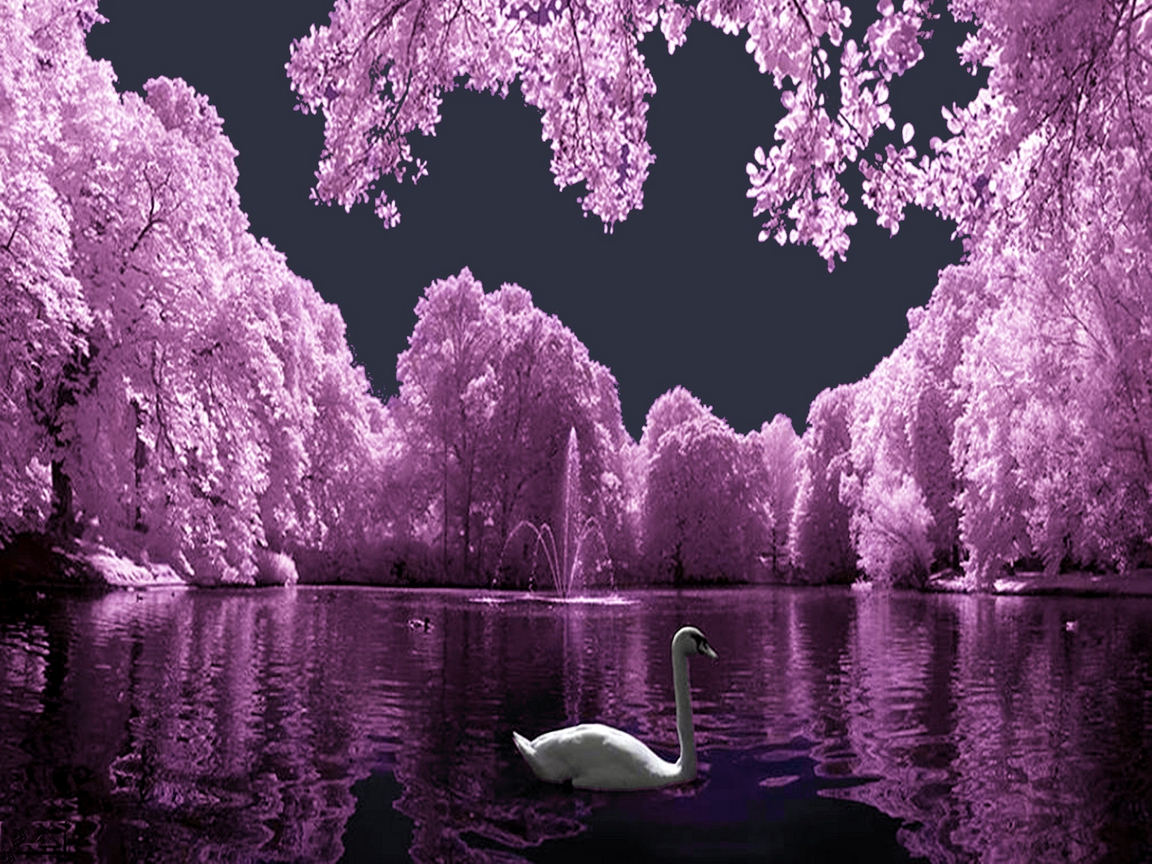 Artistic Picture