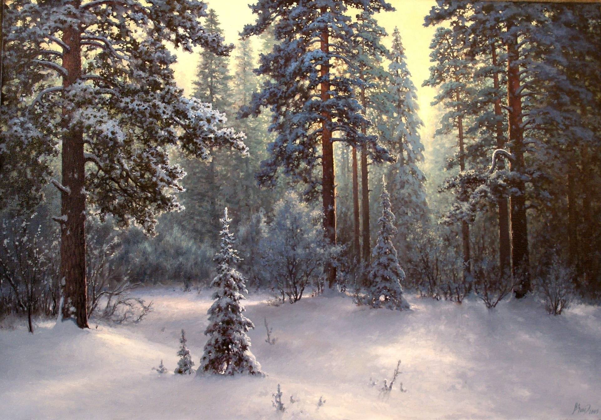  Snowy Winter Forest