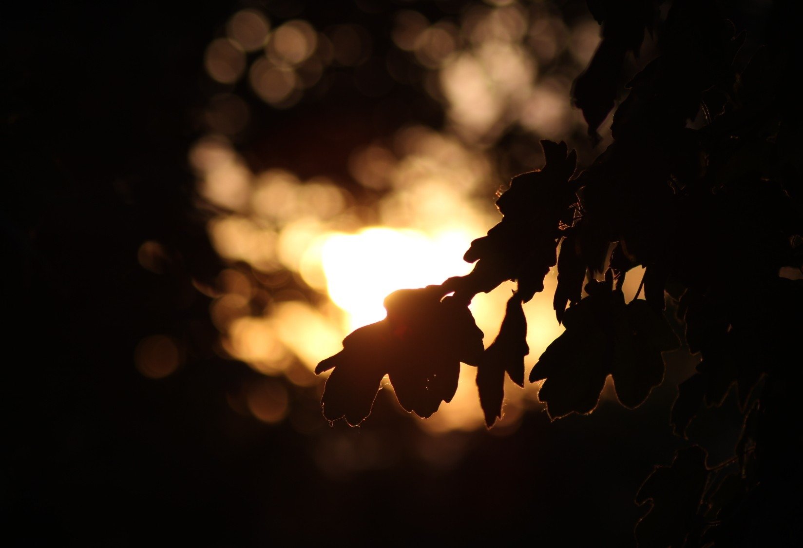  10 minutes until night