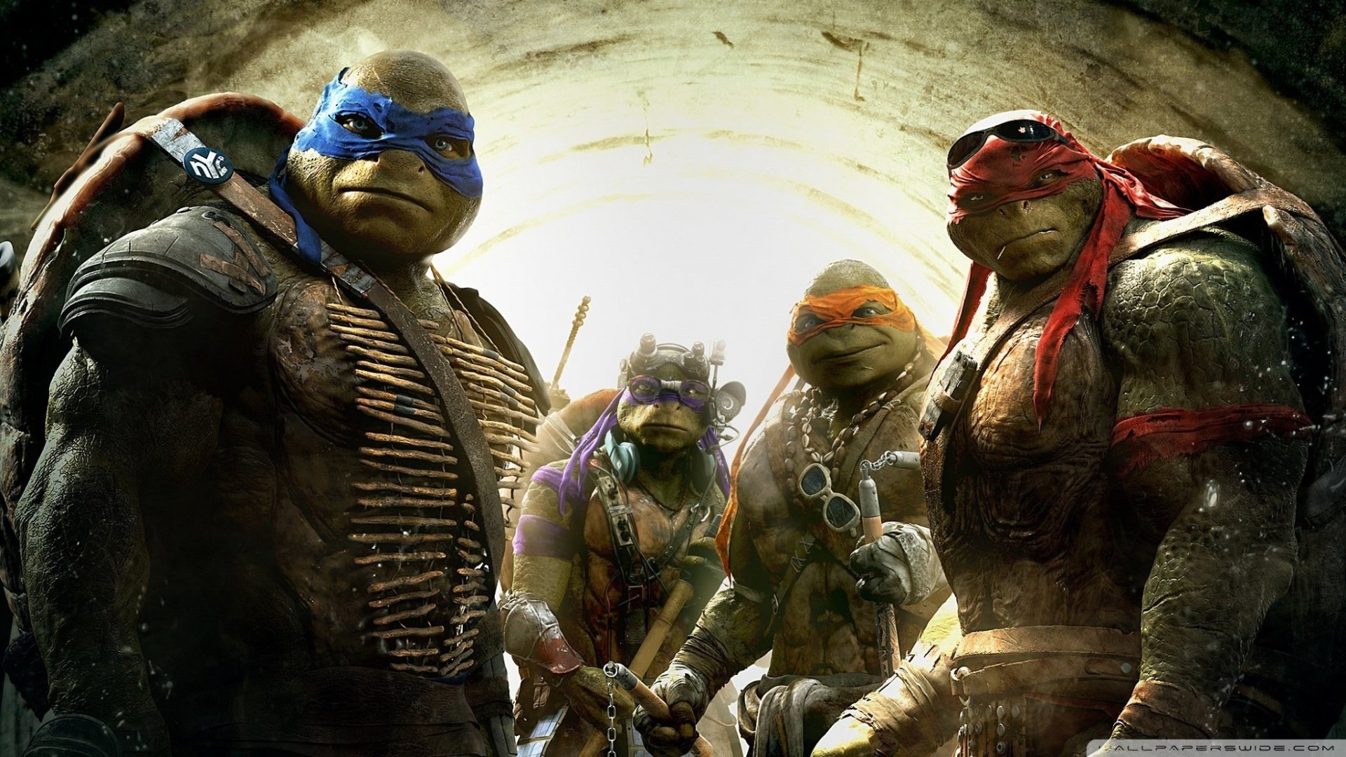 movie Teenage Mutant Ninja Turtles (2014) Image