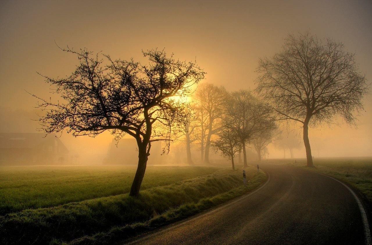 nature fog Image